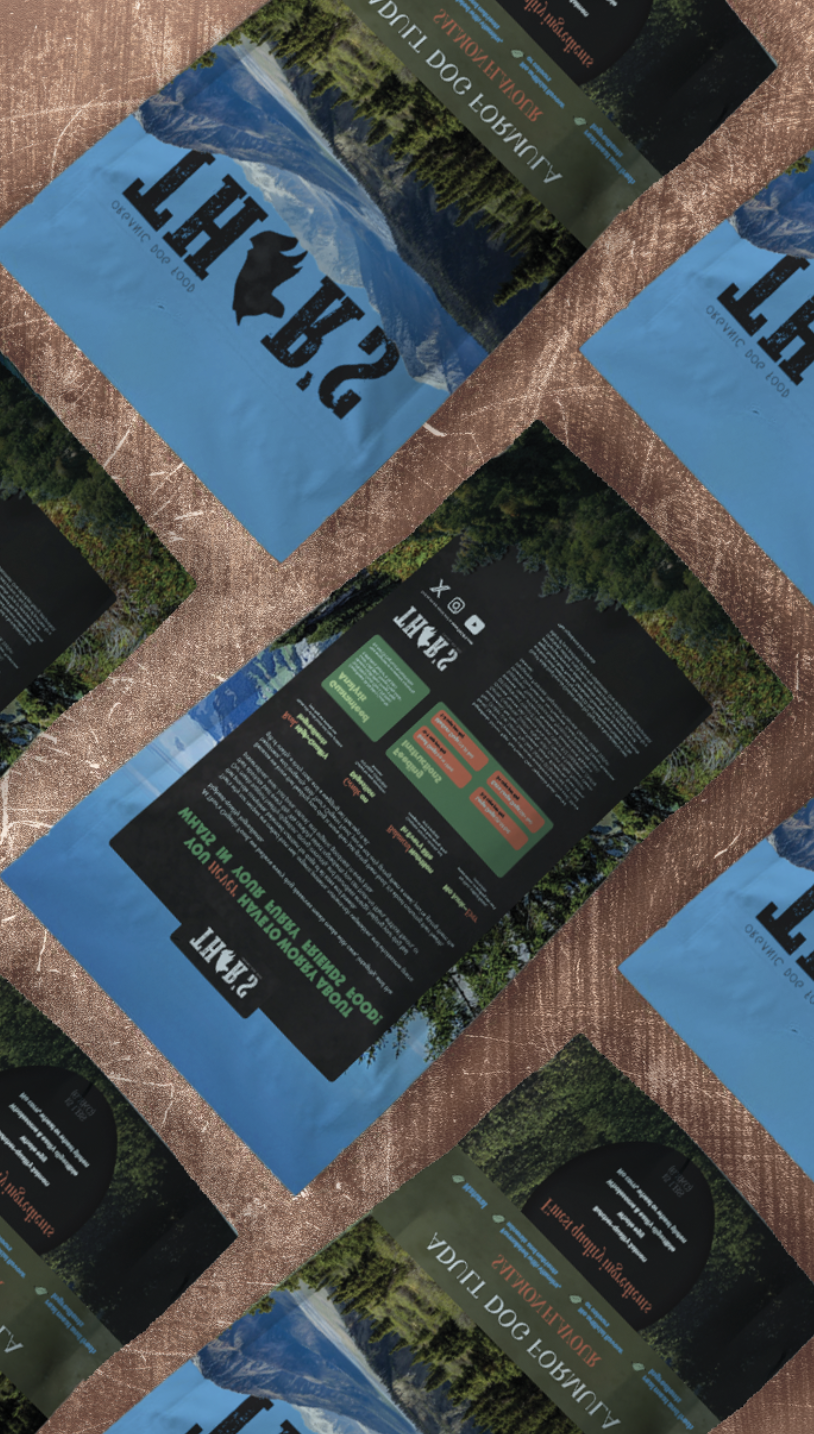 Flyers for a kayaking event titled "Aluminum Boat Tour Lake Tulloch, 1001 CYO, 4p" with scenic lake and mountain background, black and green informational sections, and a large black circle logo.