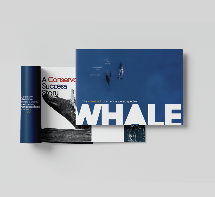 Open magazine with an article titled 'The comeback of an endangered species' about whales, featuring an image of two whales jumping out of the water.