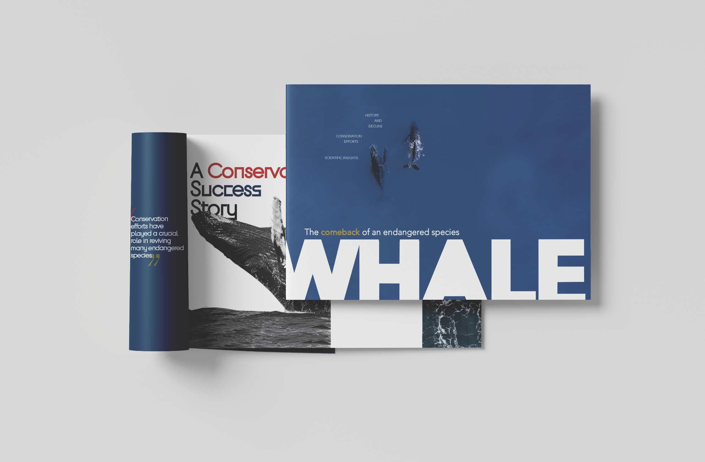 Endangered Species Editorial Spread