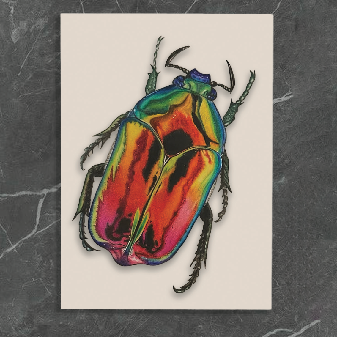 Colorful, metallic-looking beetle illustration with rainbow hues on a white background, placed on a dark marble surface.