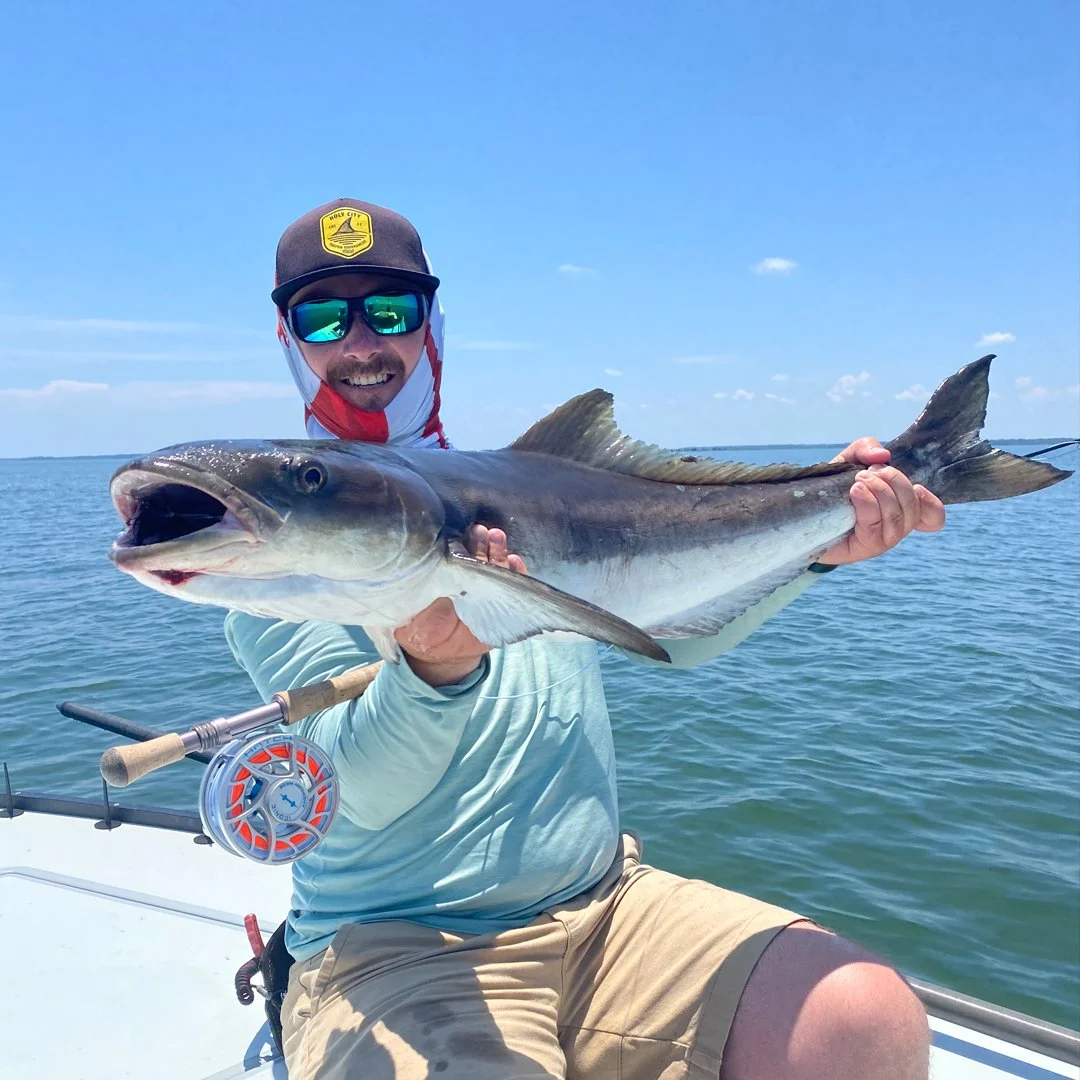 Fly fishing for cobia in Charleston, SC.