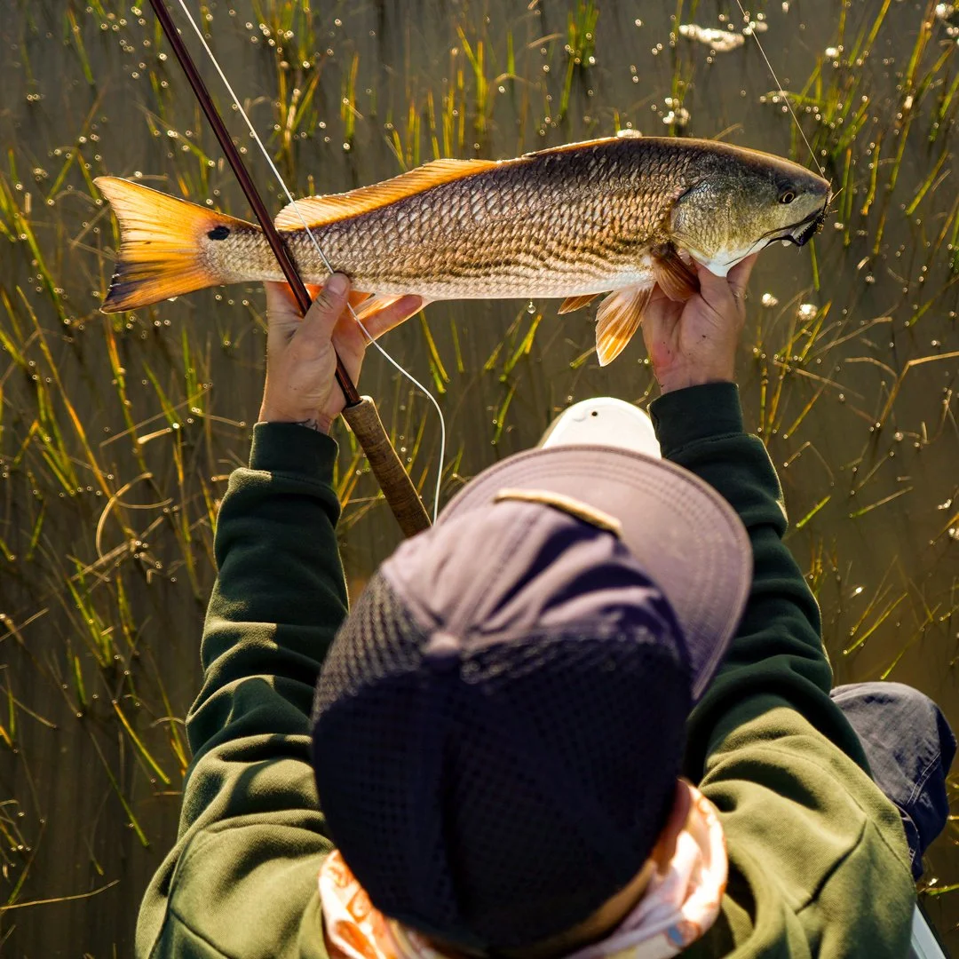 Fly fishing for flood tide redfish in Charleston, SC.