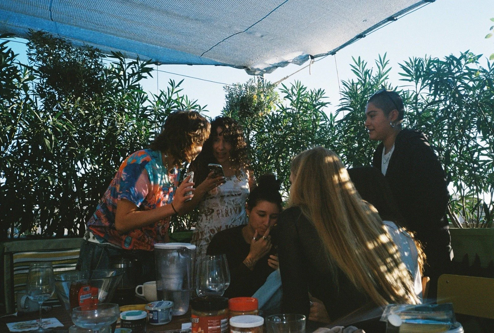 Entry No. 01 — The Introduction