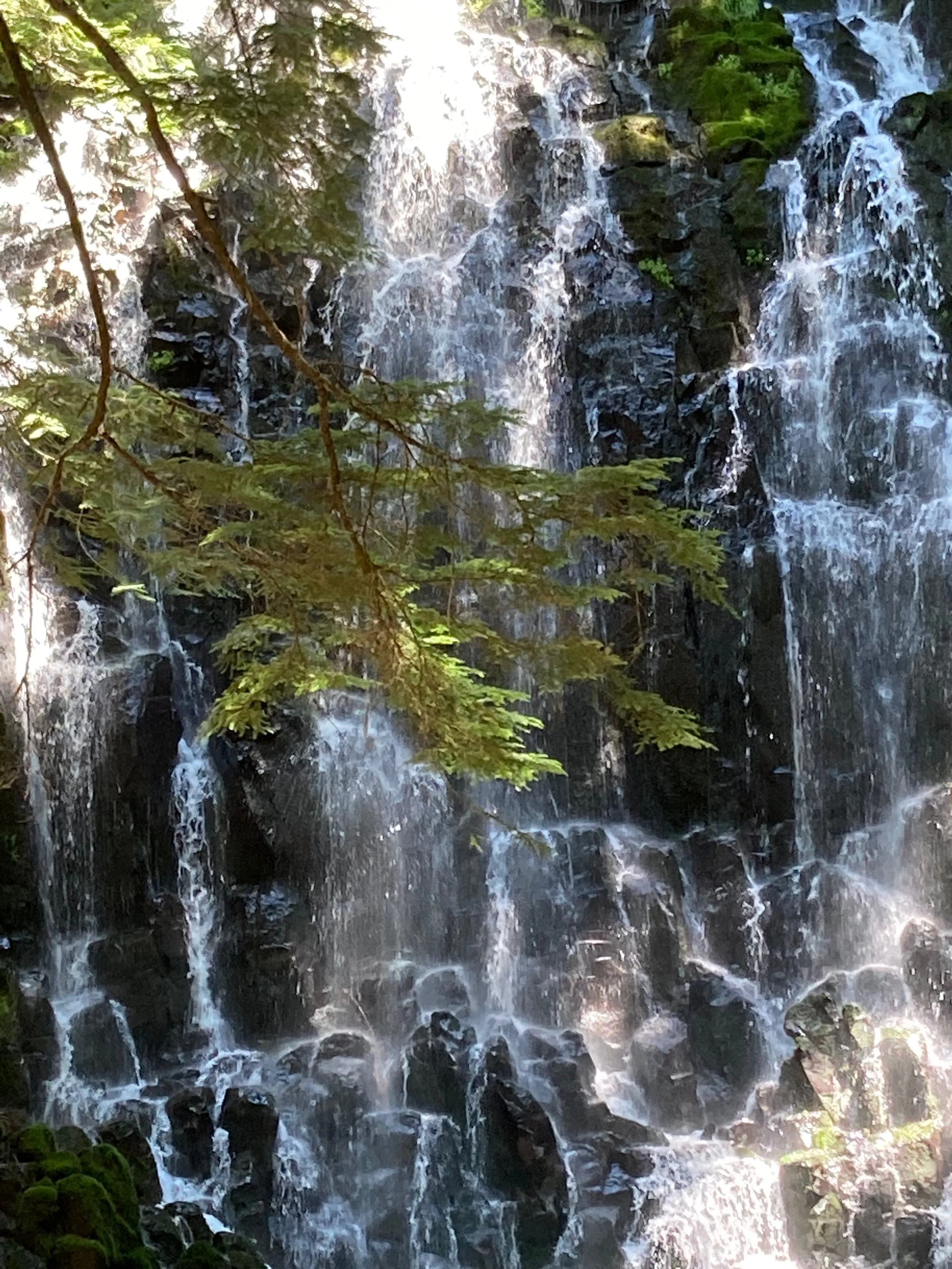 Waterfall cascading down rocks surrounded by green moss and trees in a lush forest