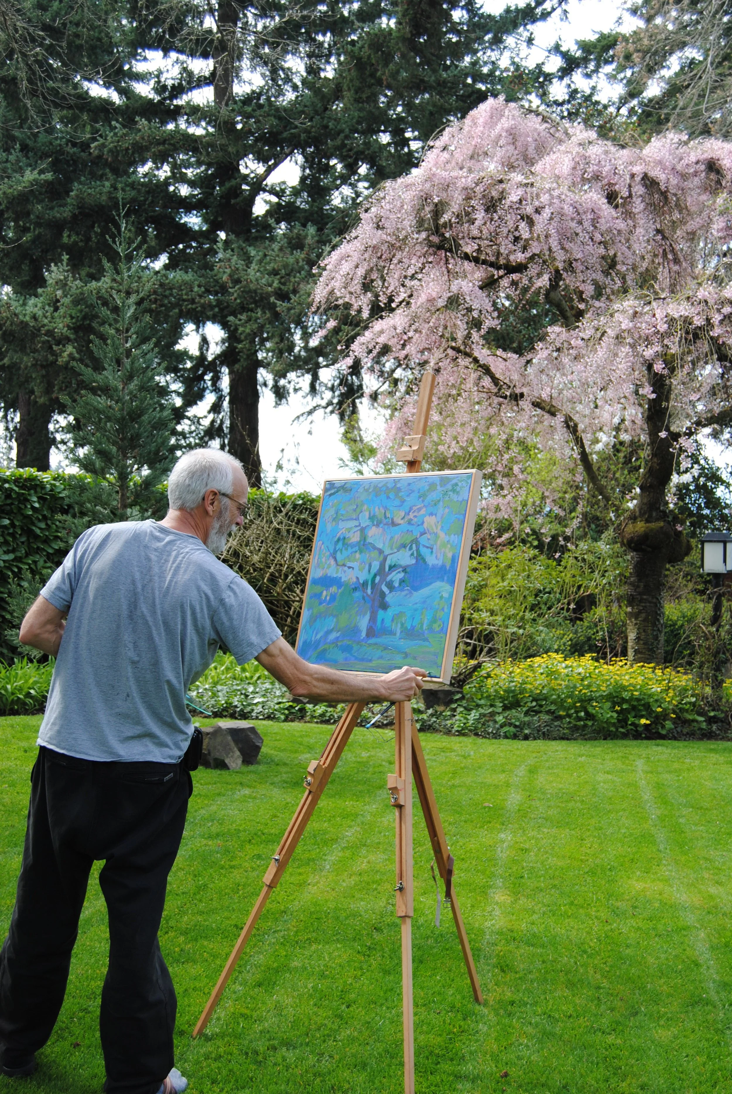 An elderly man with gray hair and a beard painting outdoors on an easel, with a large pink flowering tree and green grass in the background.