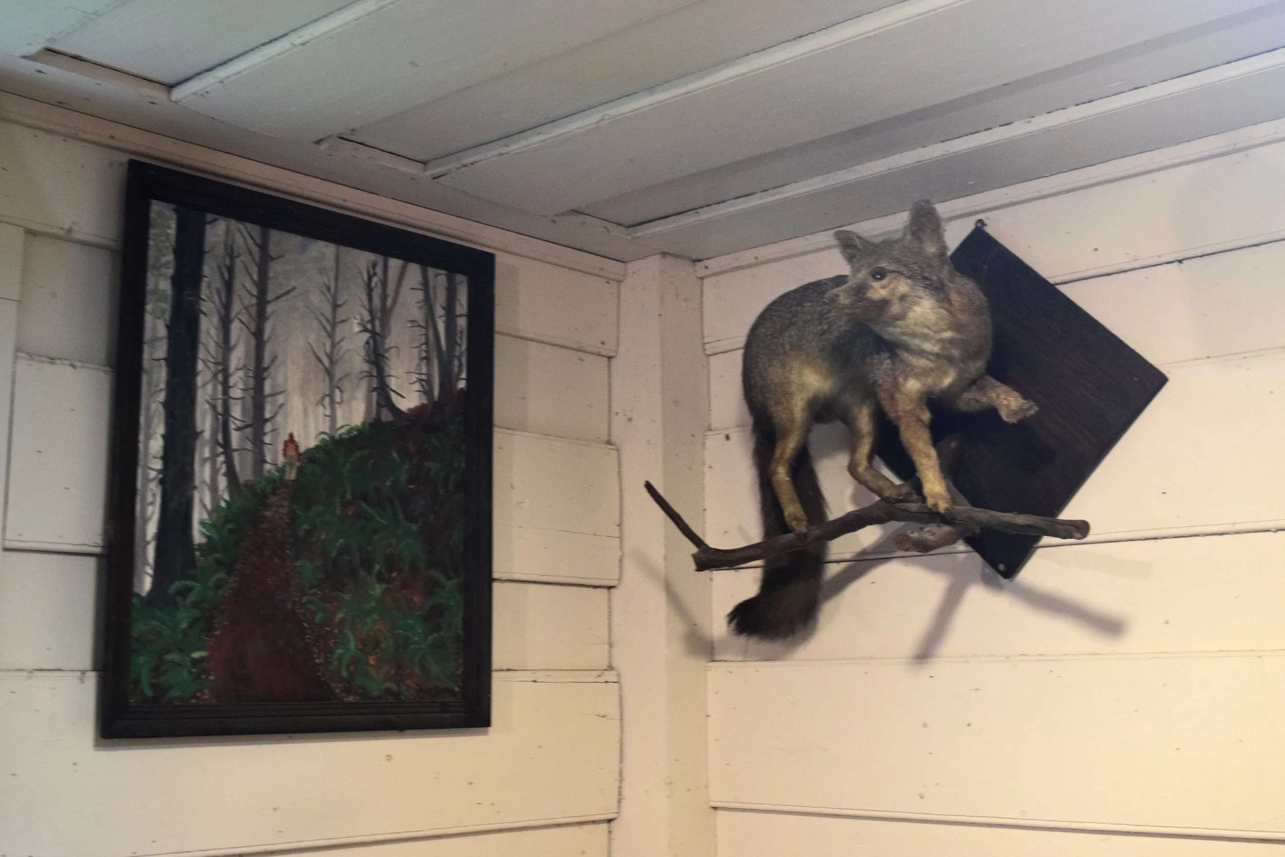 Taxidermy animal display of a cat-like creature on a branch and a framed painting of a forest scene with a pathway and trees on a white wooden wall.