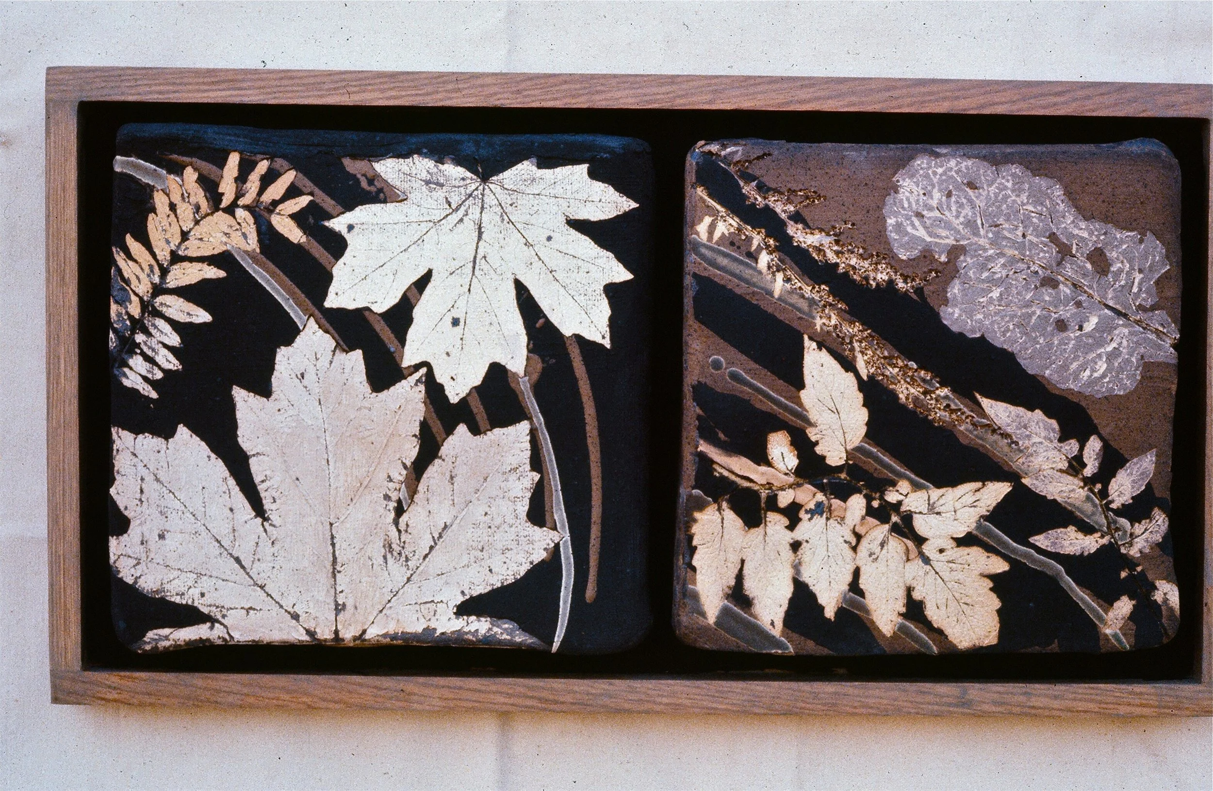 A framed display of four pressed leaves with intricate vein patterns on dark backgrounds.