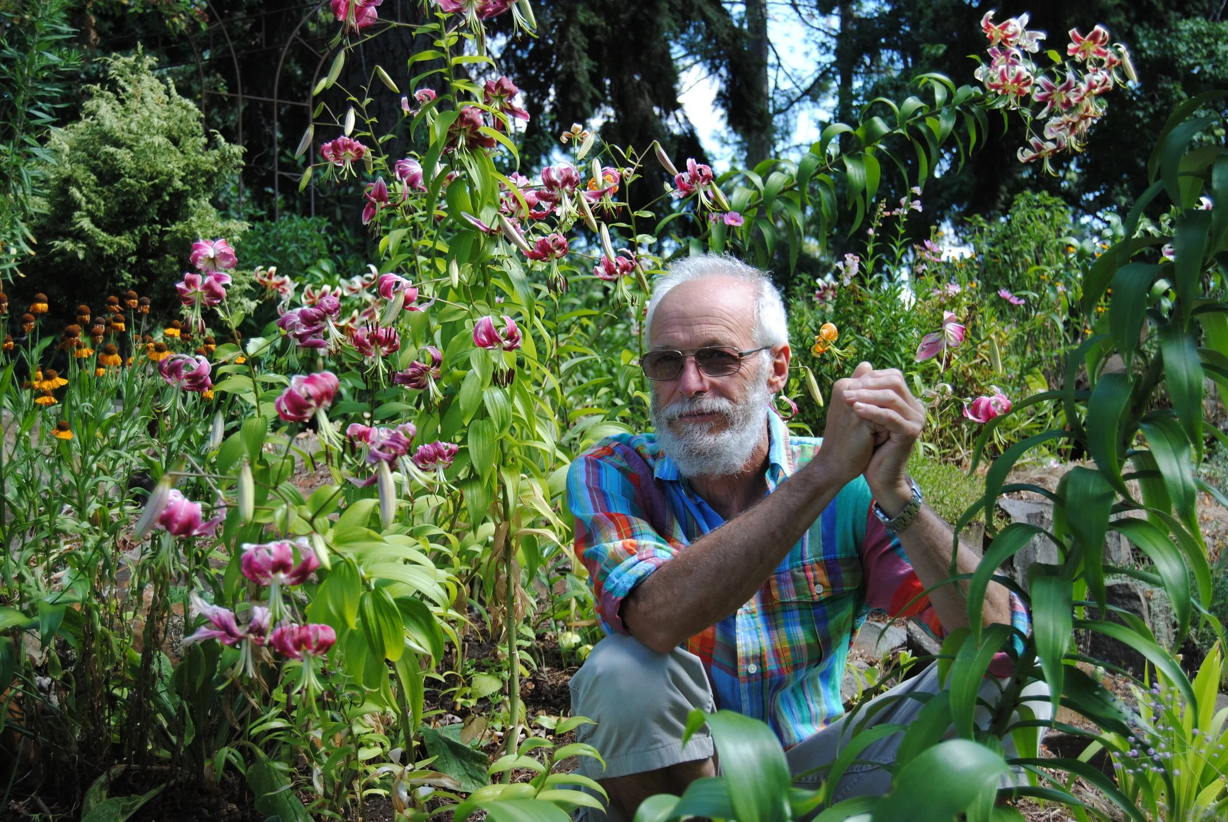 An elderly man with gray hair, a beard, and sunglasses sitting in a lush garden with various colorful flowers, including pink lilies, surrounding him.