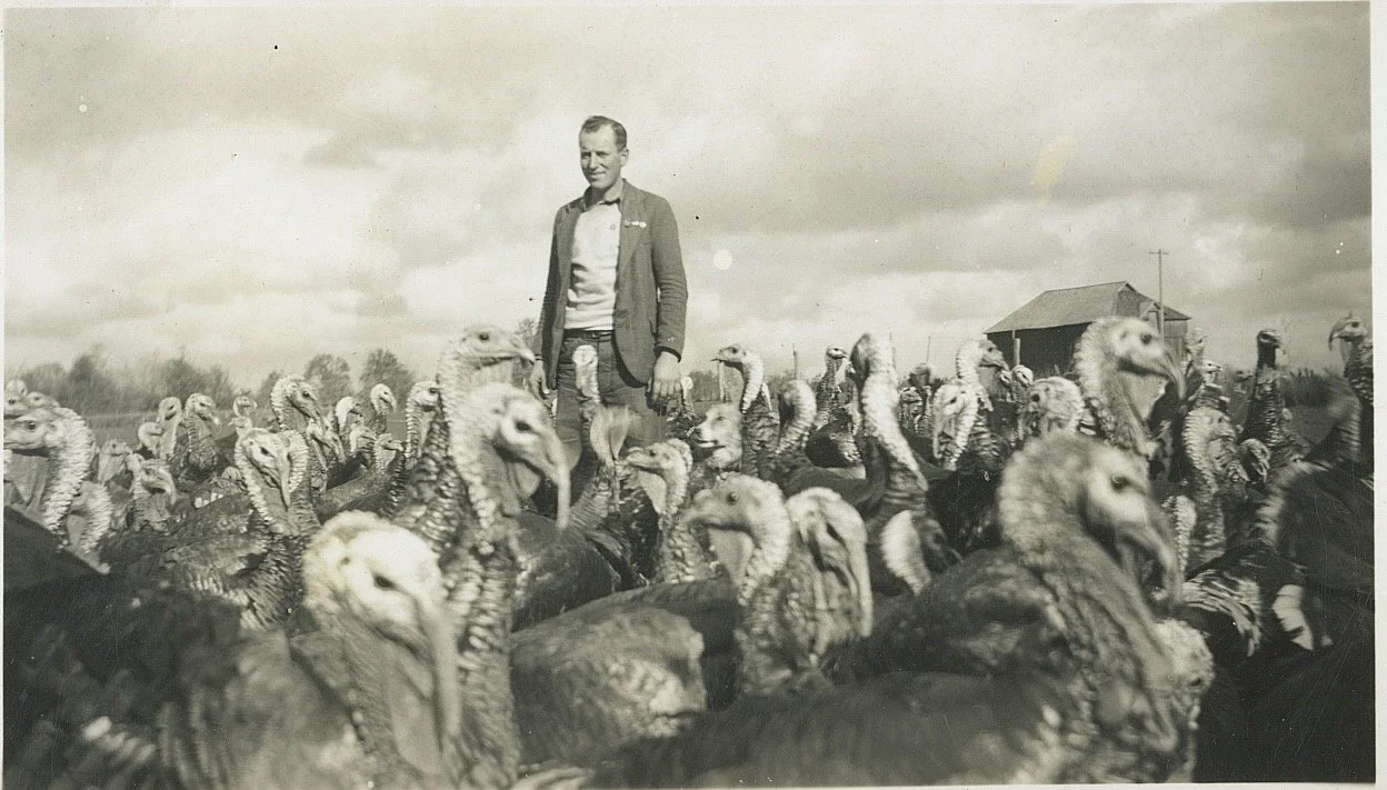 Black and white photo of a man standing among a large flock of turkeys outdoors, with a farm building and cloudy sky in the background.