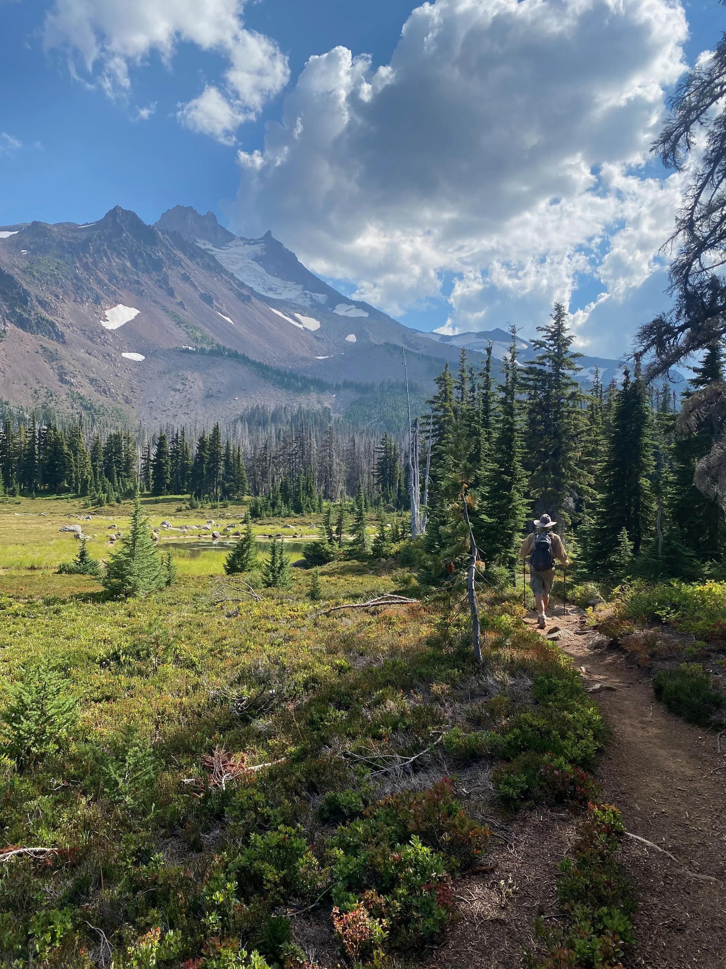 Hiker walking along a dirt trail through a forested mountain landscape with tall evergreen trees, a mountain with patches of snow, and partly cloudy sky.