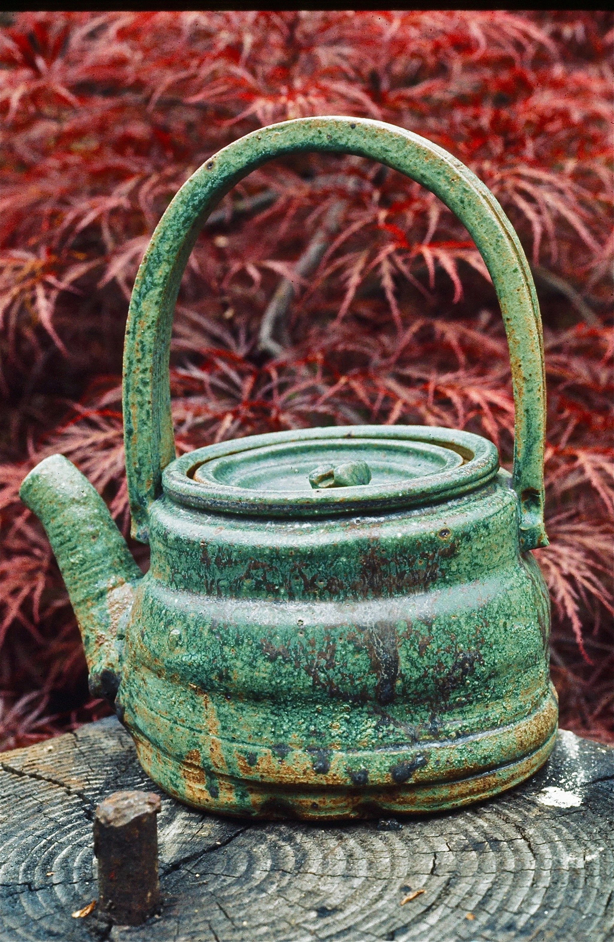 A weathered, green, rusty metal teapot with a handle and lid, placed on a wooden surface with a background of reddish, dried, leafy plants.