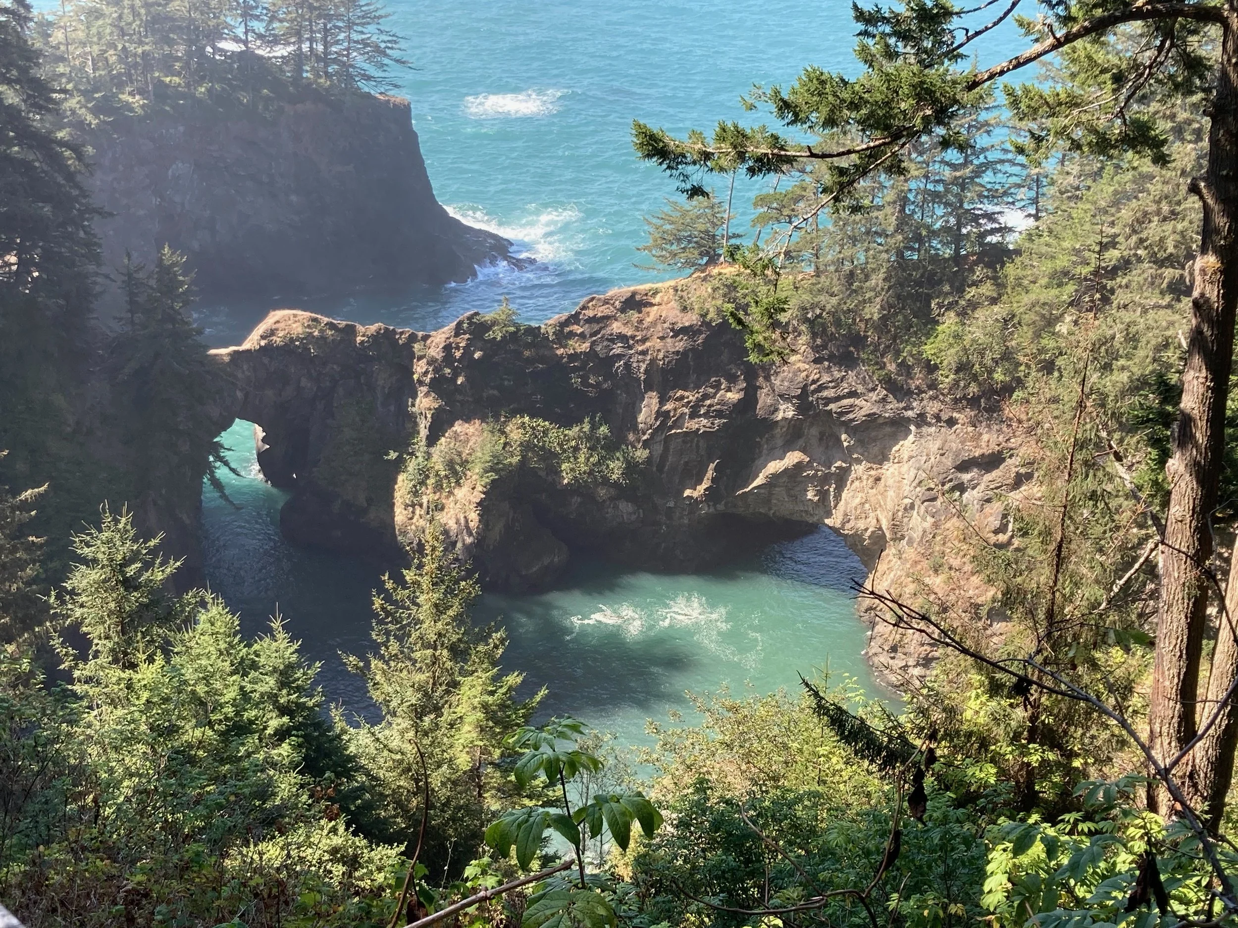 Coastal view of a natural rock formation with a hole in the middle, surrounded by lush green trees, overlooking the blue ocean with waves.