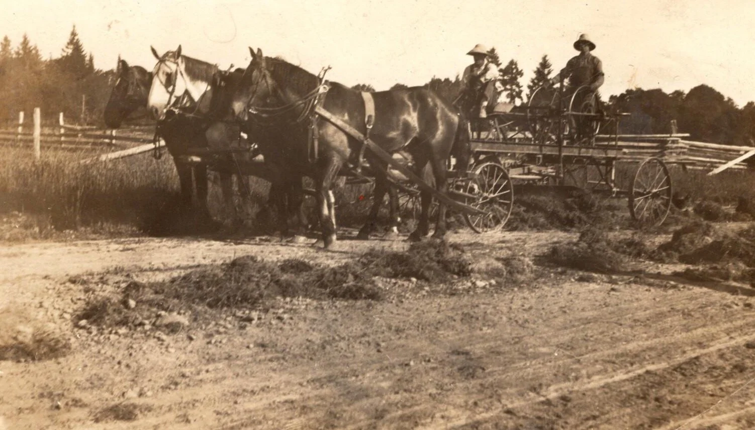 Two horses pulling a wooden wagon with two people riding on it, on a dirt path with a wooden fence and trees in the background.