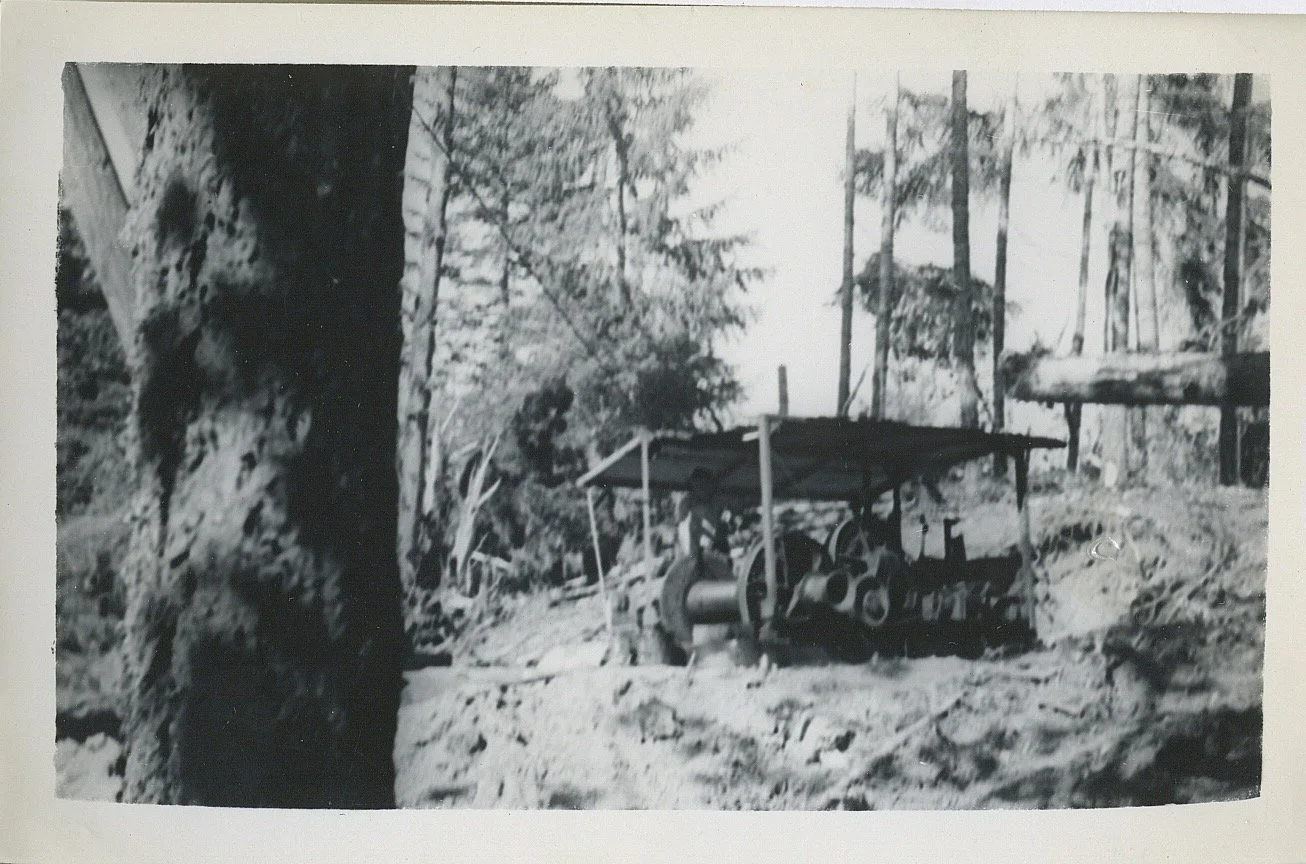 Black and white photograph of a forest with trees and a makeshift wooden shelter. Inside the shelter, there is a large spool of wire or cable and some equipment.