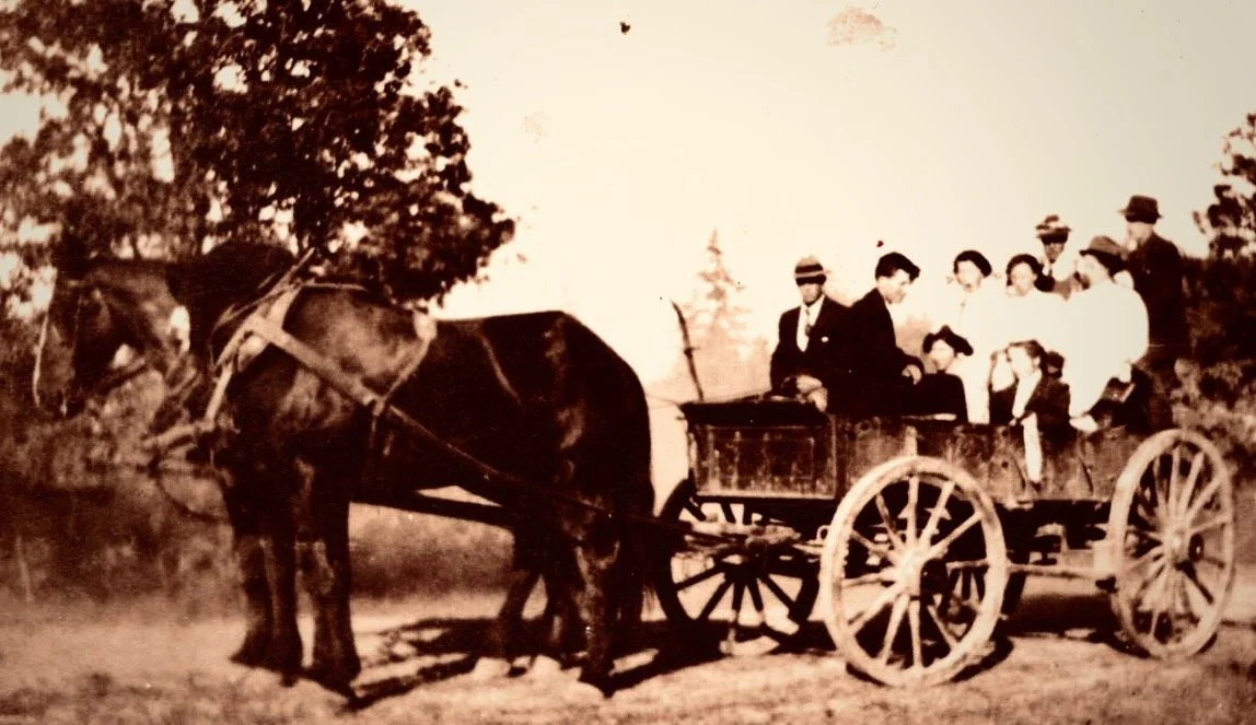 Black and white photo of a horse-drawn wagon with seven people sitting inside, outdoors with trees in the background.