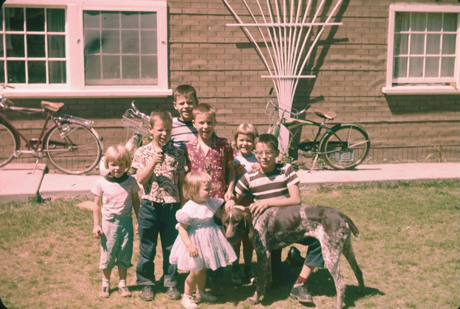 A group of children and a dog standing outside in front of a brick house with two bicycles parked against the wall.