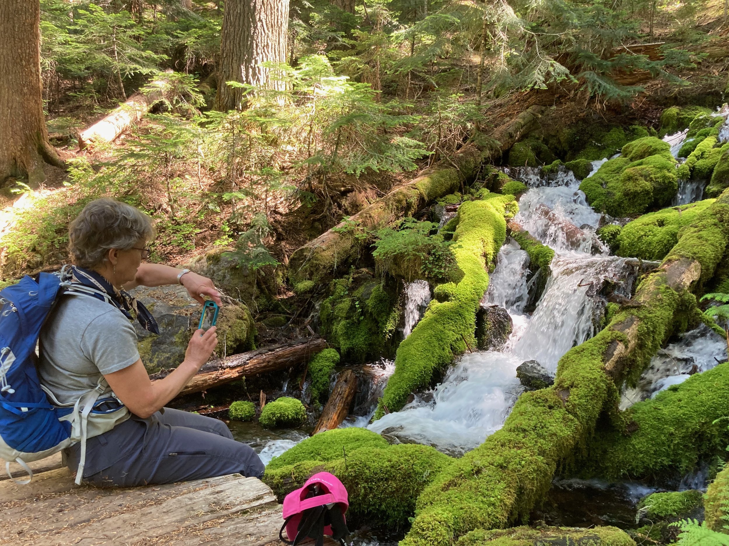 A woman sitting on a log in a forest, taking a picture of a moss-covered fallen log over a small stream with waterfalls.