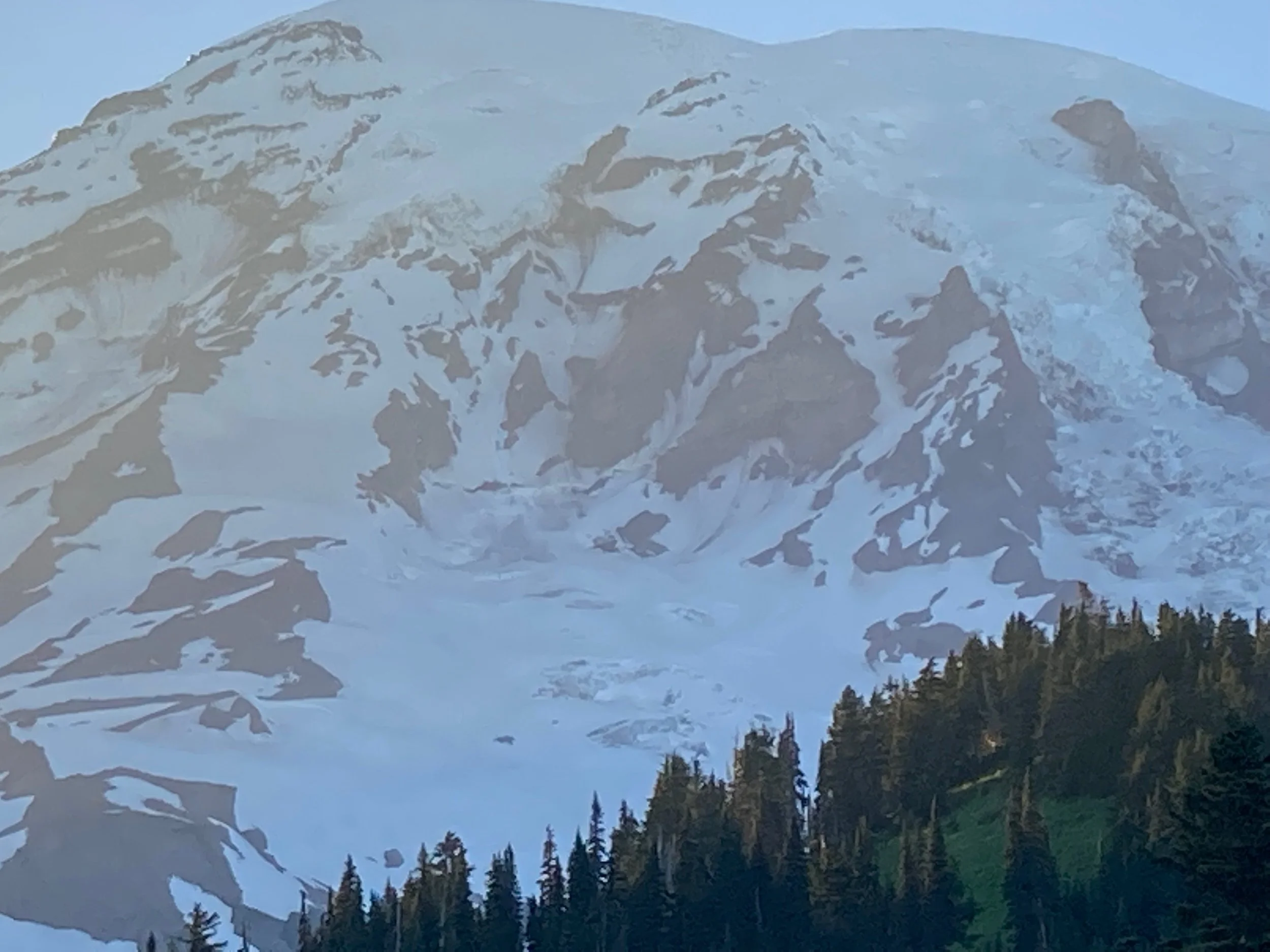 Snow-covered mountain with rocky peaks and a forest of evergreen trees at the base.
