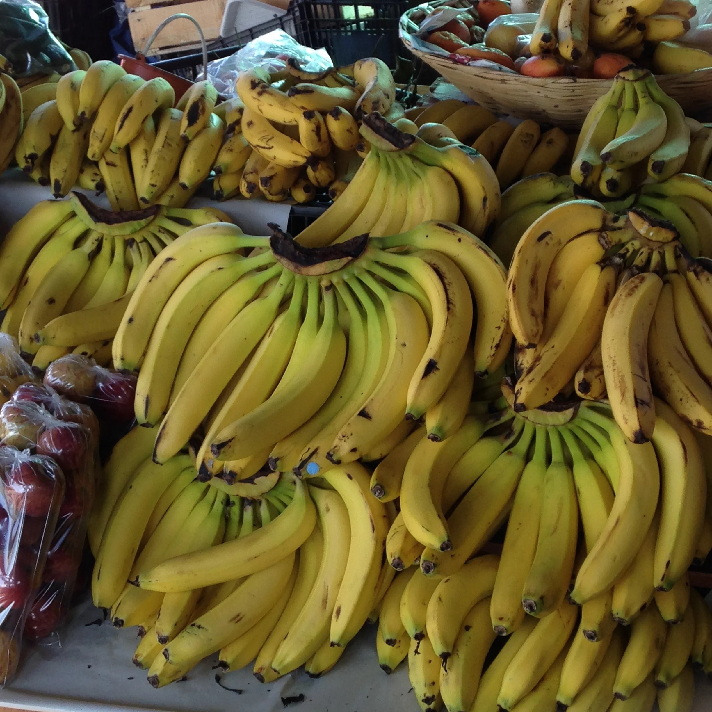 Bunches of ripe yellow bananas displayed for sale at a market.