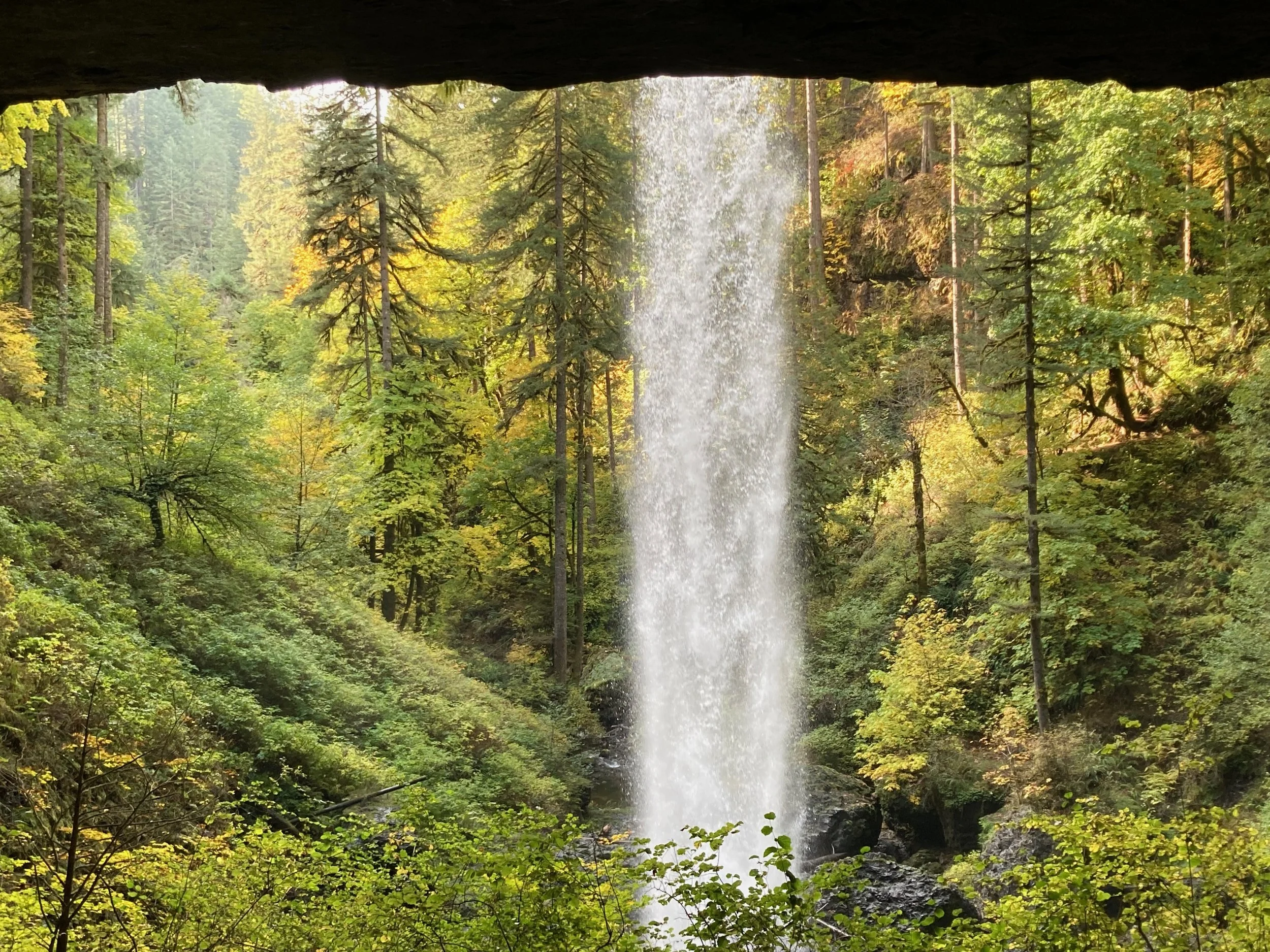 A waterfall cascading down a cliff into a lush green forest.