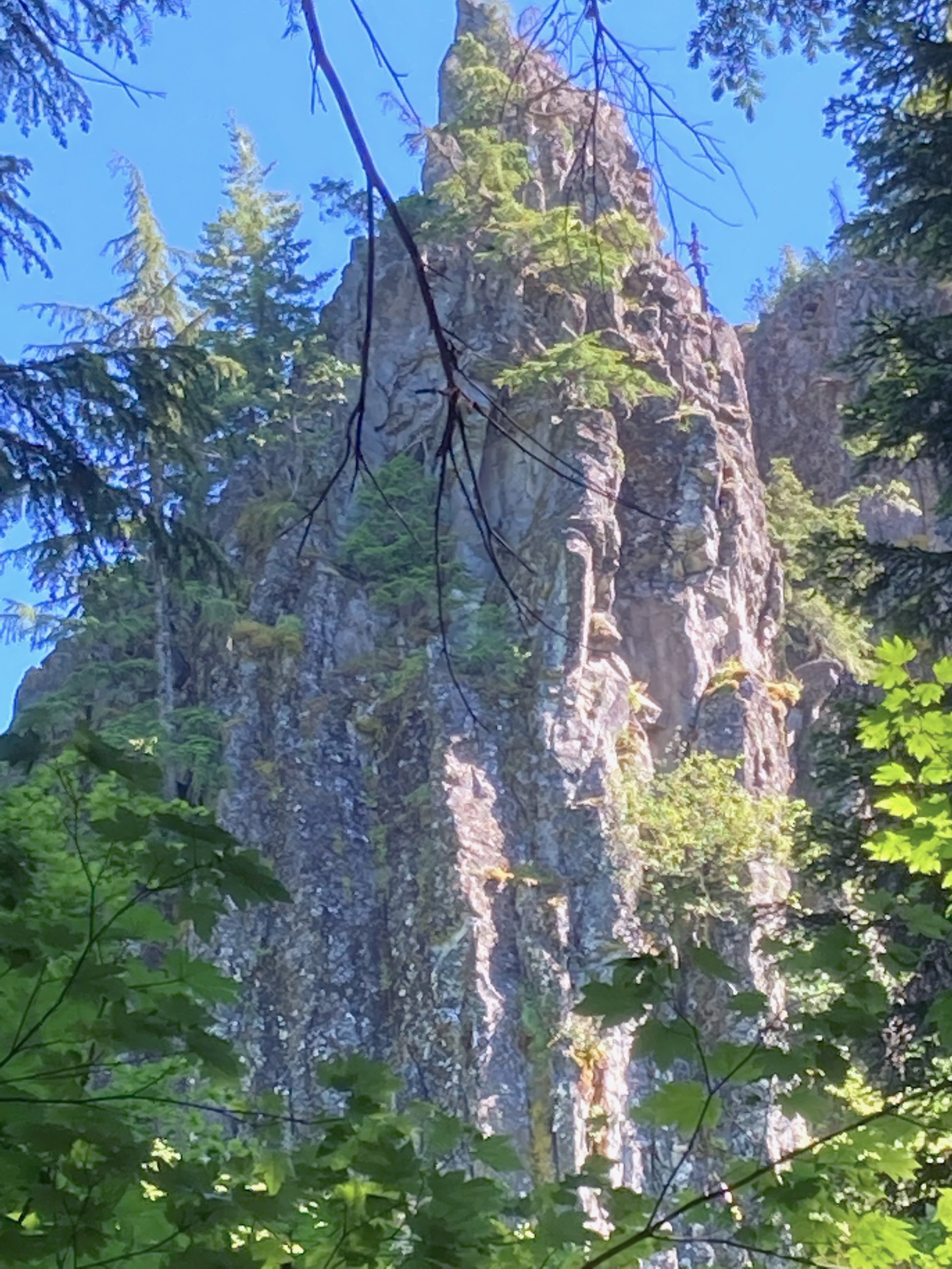 A tall, rocky mountain surrounded by green trees and blue sky.