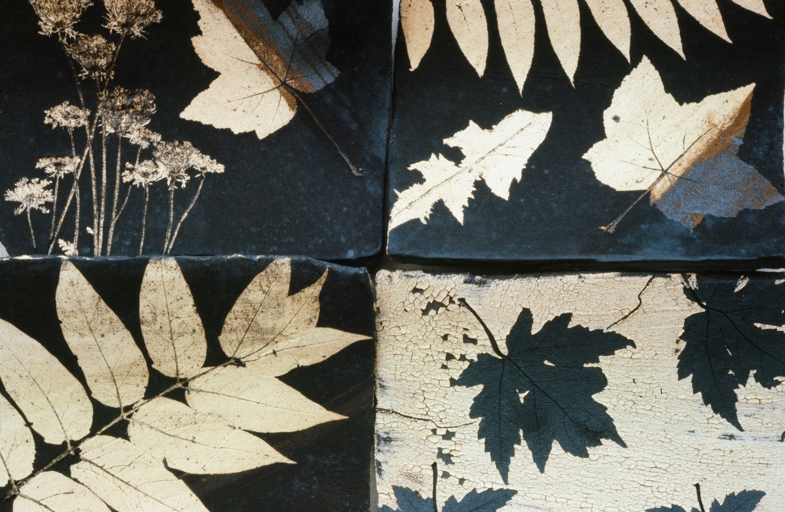 Four tiles with dried leaves and plants painted on them, with a cracked and aged appearance.