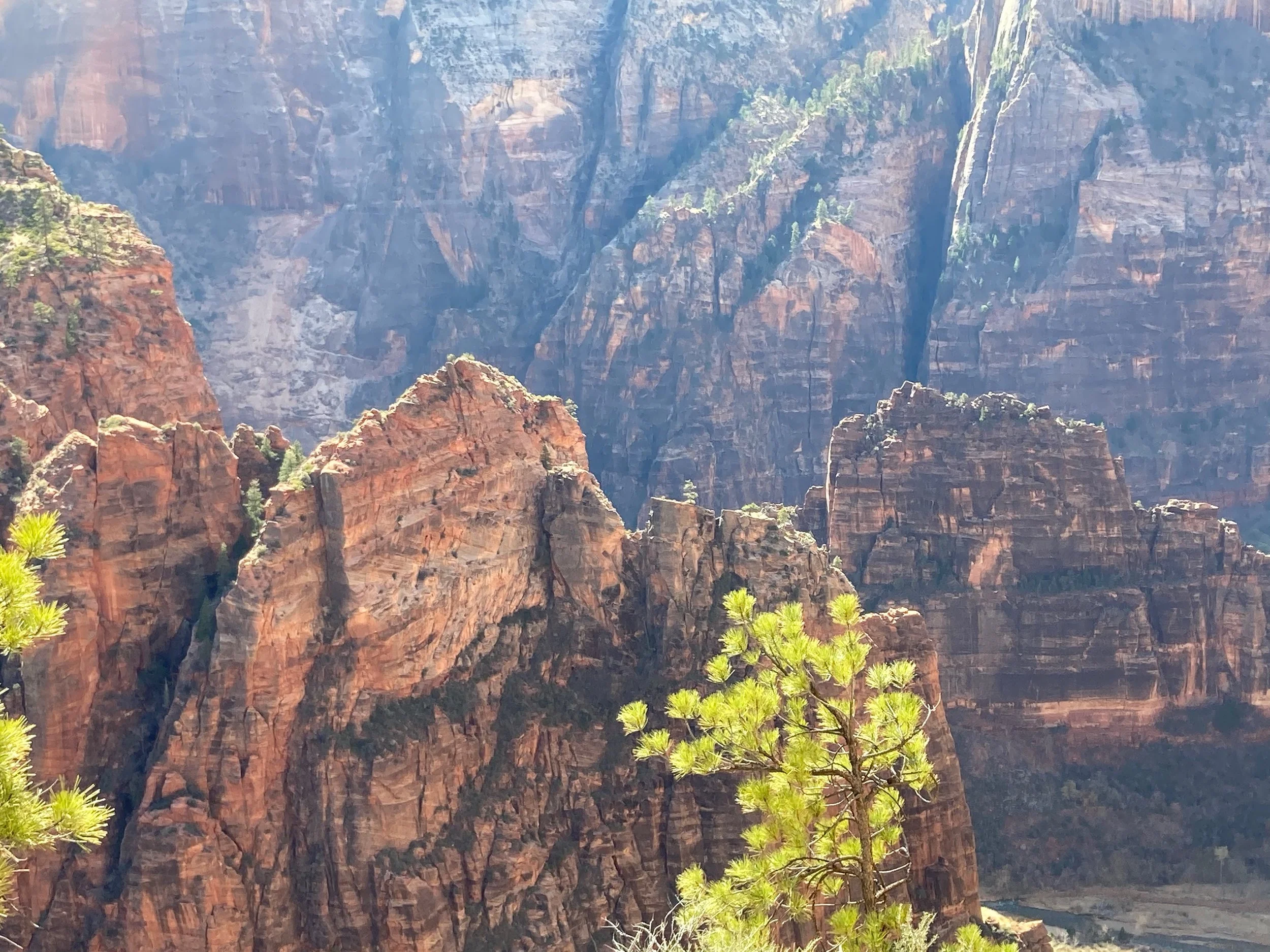 Cliffs and rock formations in a canyon with trees in the foreground