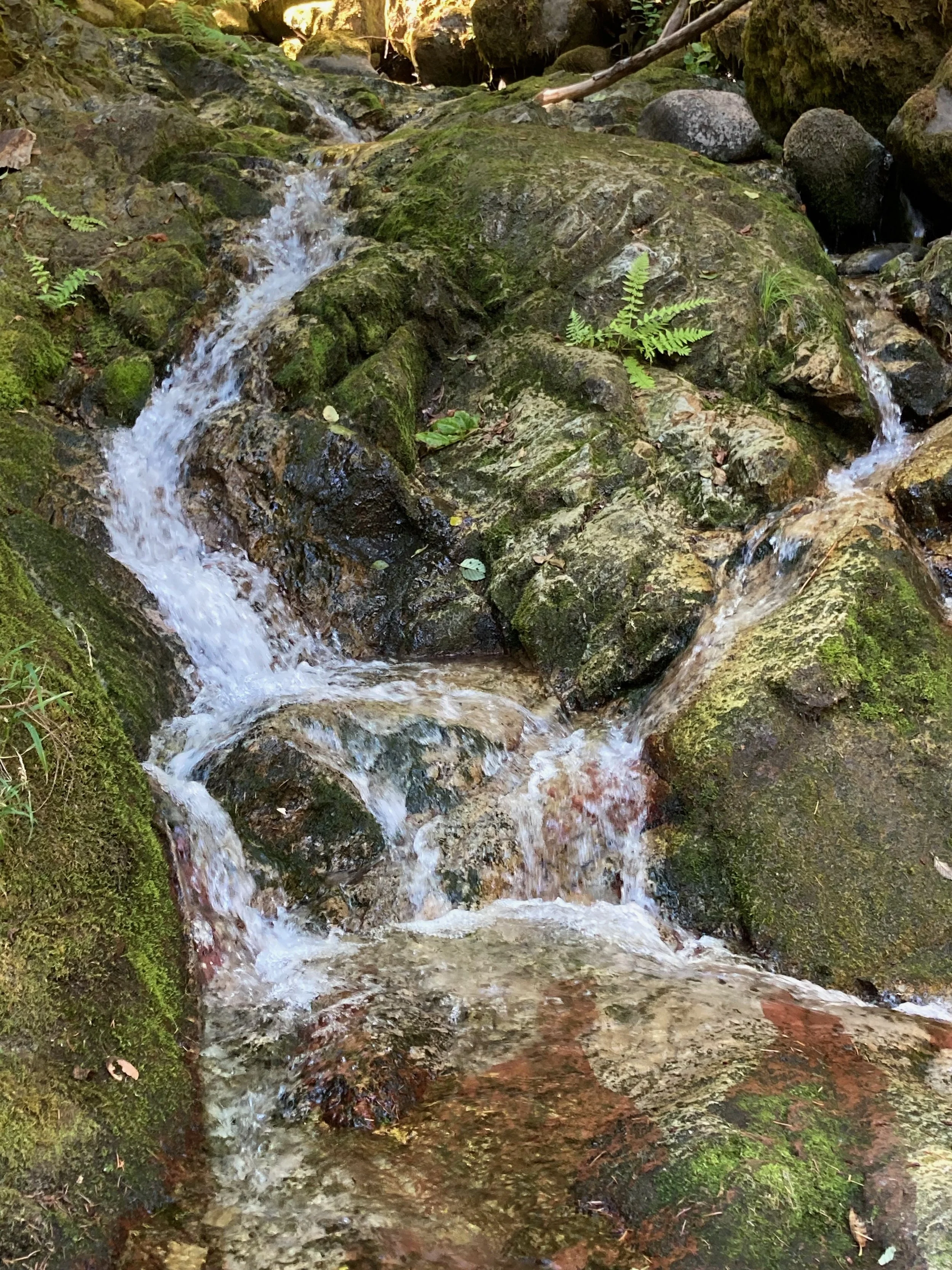 Small waterfall flowing over moss-covered rocks in a forest stream.