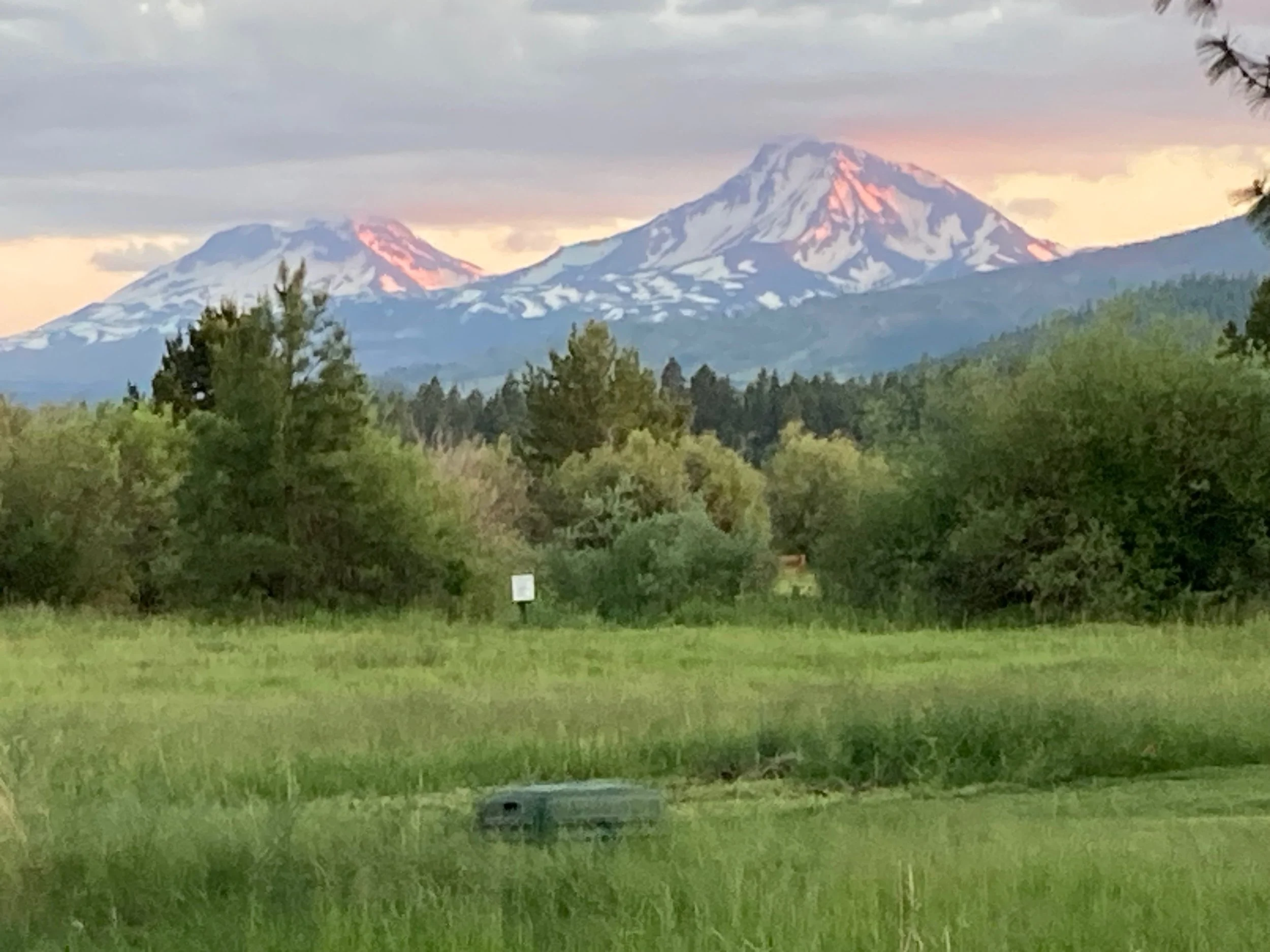 Scenic view of snow-capped mountains, likely volcanic, during sunset or sunrise with colorful pink and orange clouds, surrounded by a lush green forest and open grass field in the foreground.