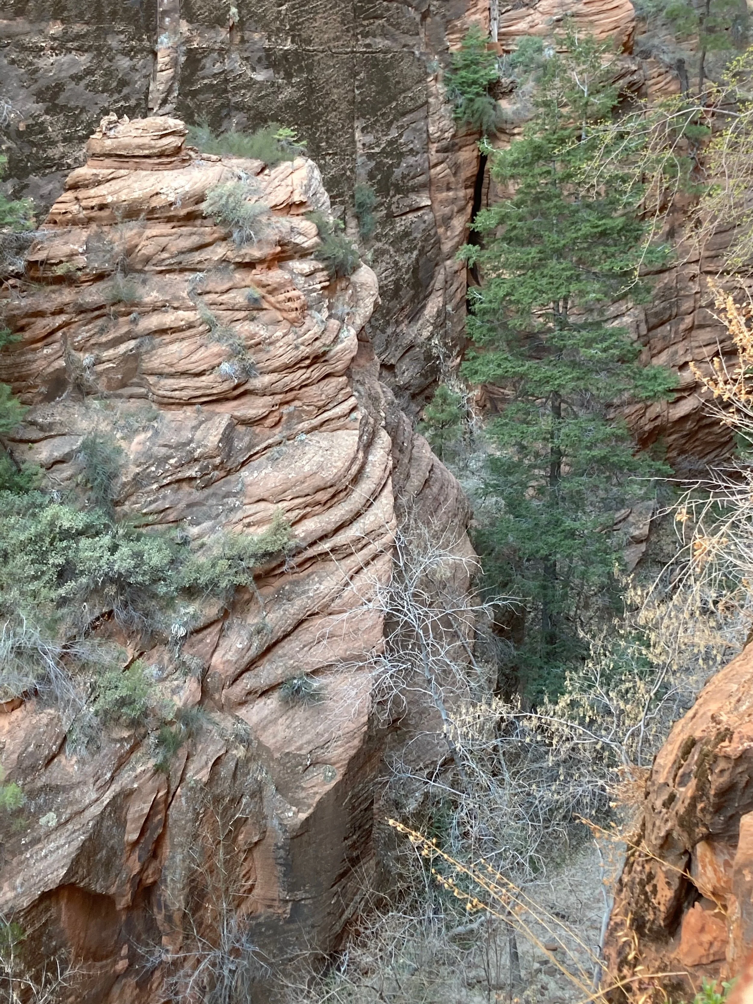 Photograph of a deep canyon with red rock walls, sparse vegetation, and green trees growing along the sides.