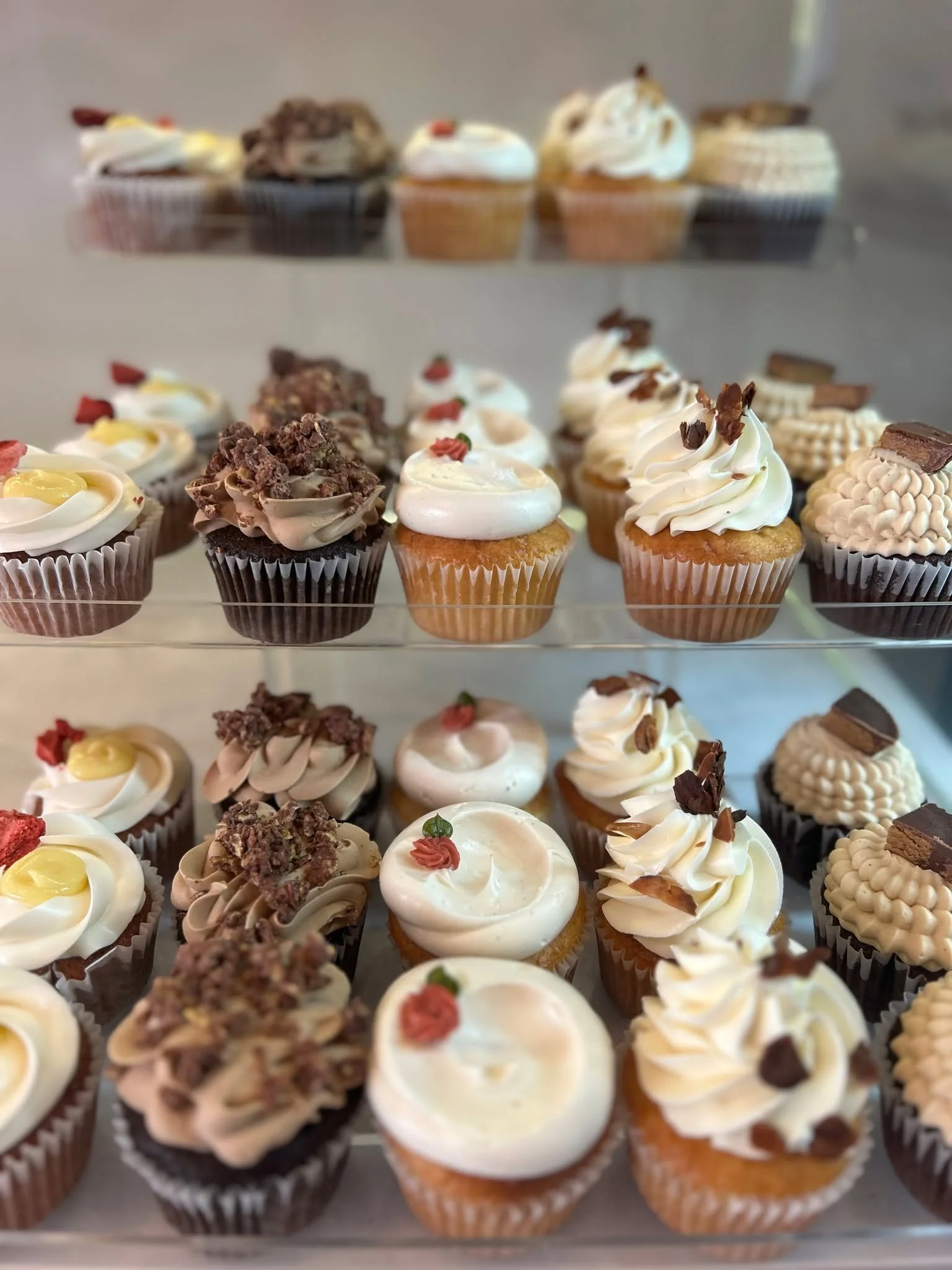 It's Cupcake Tuesday! $2.50 all cupcakes.

Today's Flavors:
Berry Limeade,
Nutella Coffee Crunch,
Vanilla Bean,
Raspberry Almond,
GF Friendly Reese's PB Cup