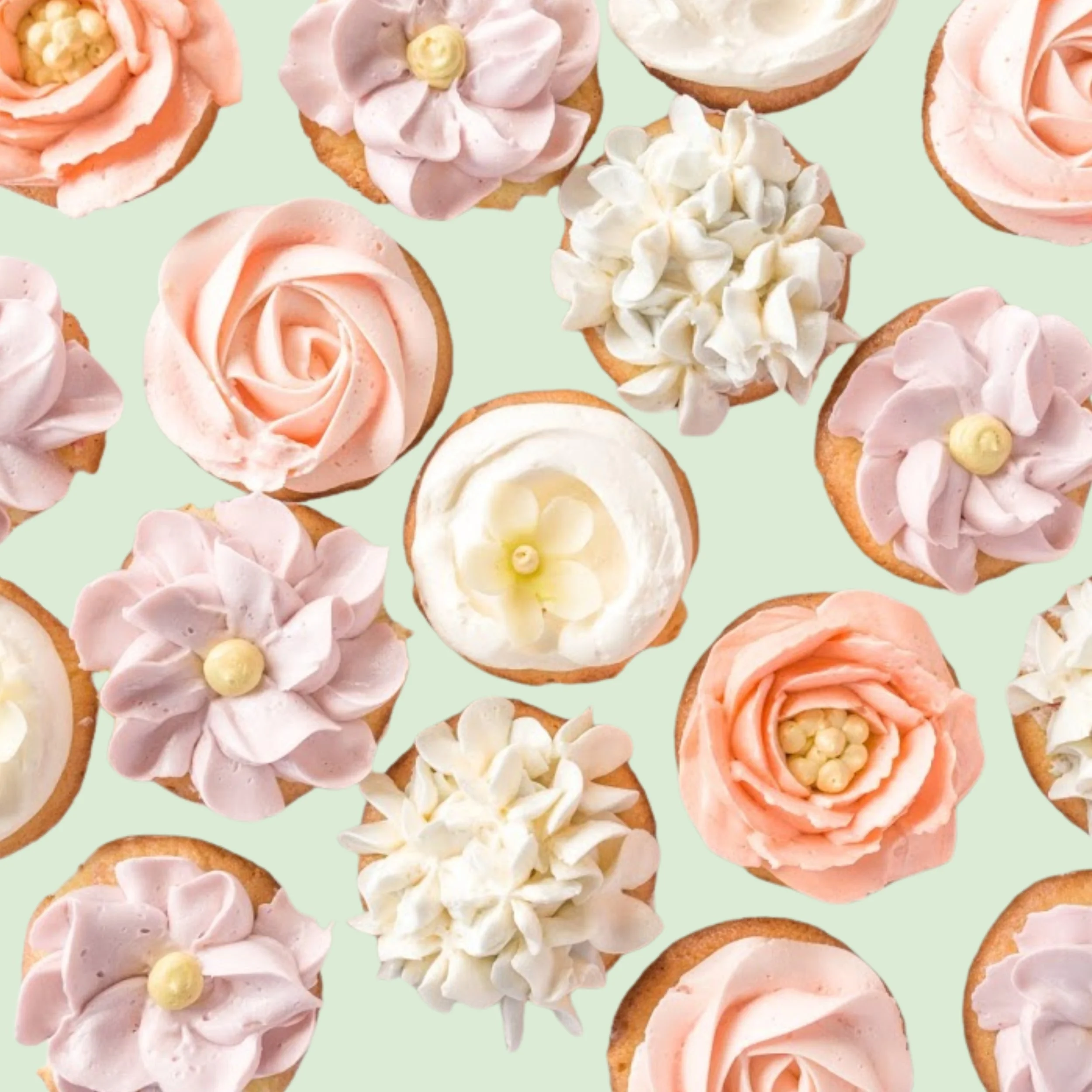 Copy of Split images (12).jpg