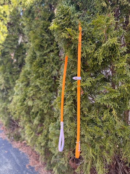 Slip Lead