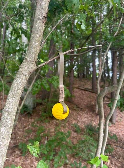 Screenshot 2026-02-09 121359.png