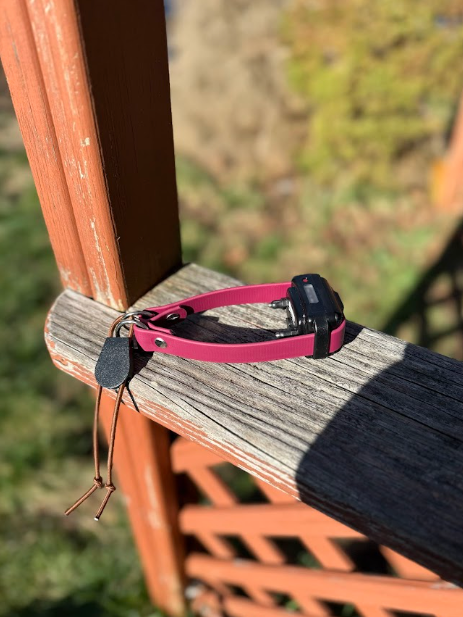 E-collar Bungee Strap