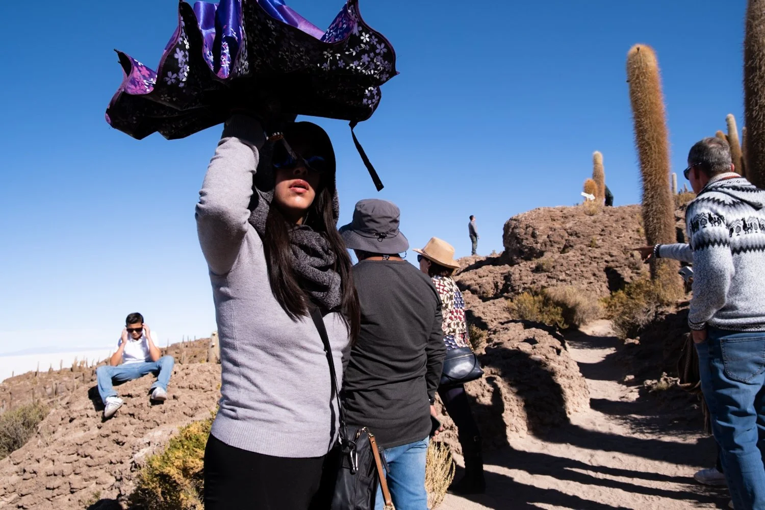 Group of people walking on a rocky desert trail with tall cacti and blue sky, some pointing and others posing.