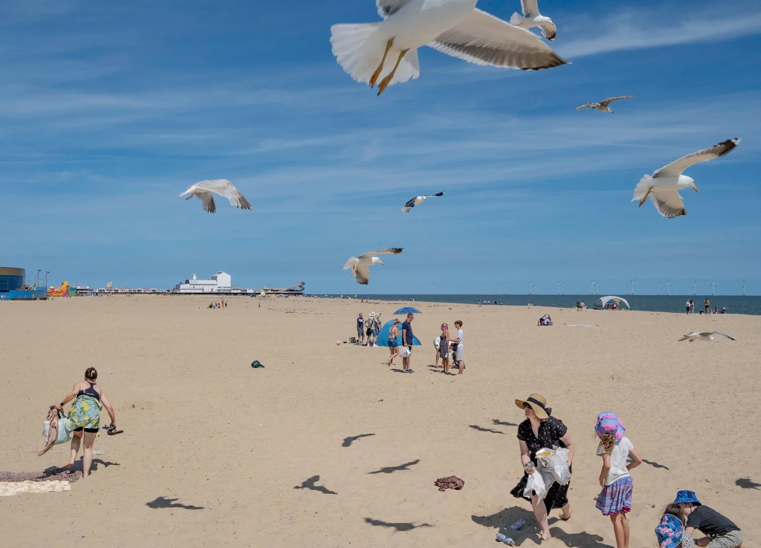 People on a sandy beach with seagulls flying overhead and a distant view of the ocean and wind turbines.