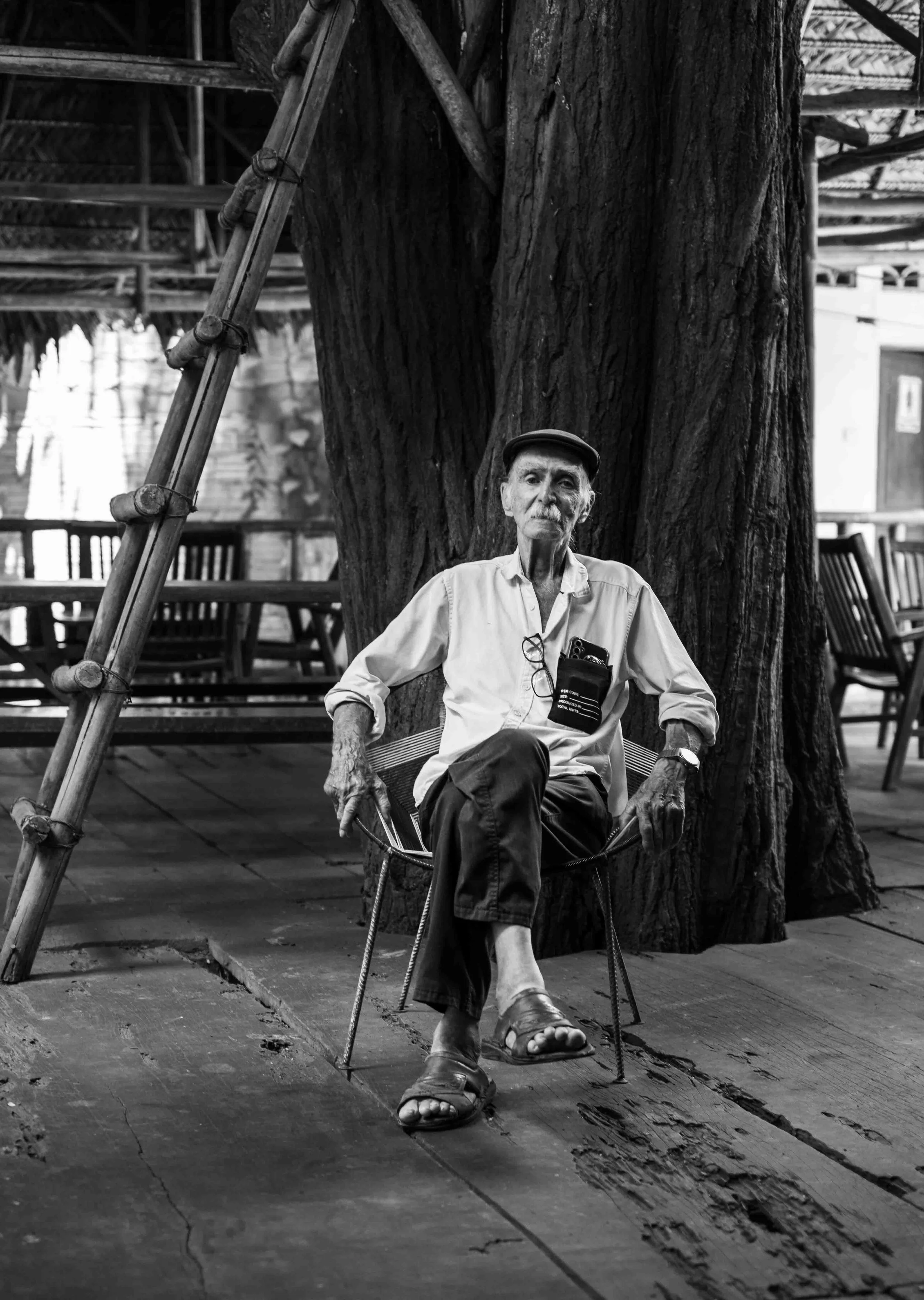 An elderly man sitting on a chair in front of a large tree, wearing a cap, shirt, and sandals, with a large tree behind him and a bamboo ladder leaning against it.