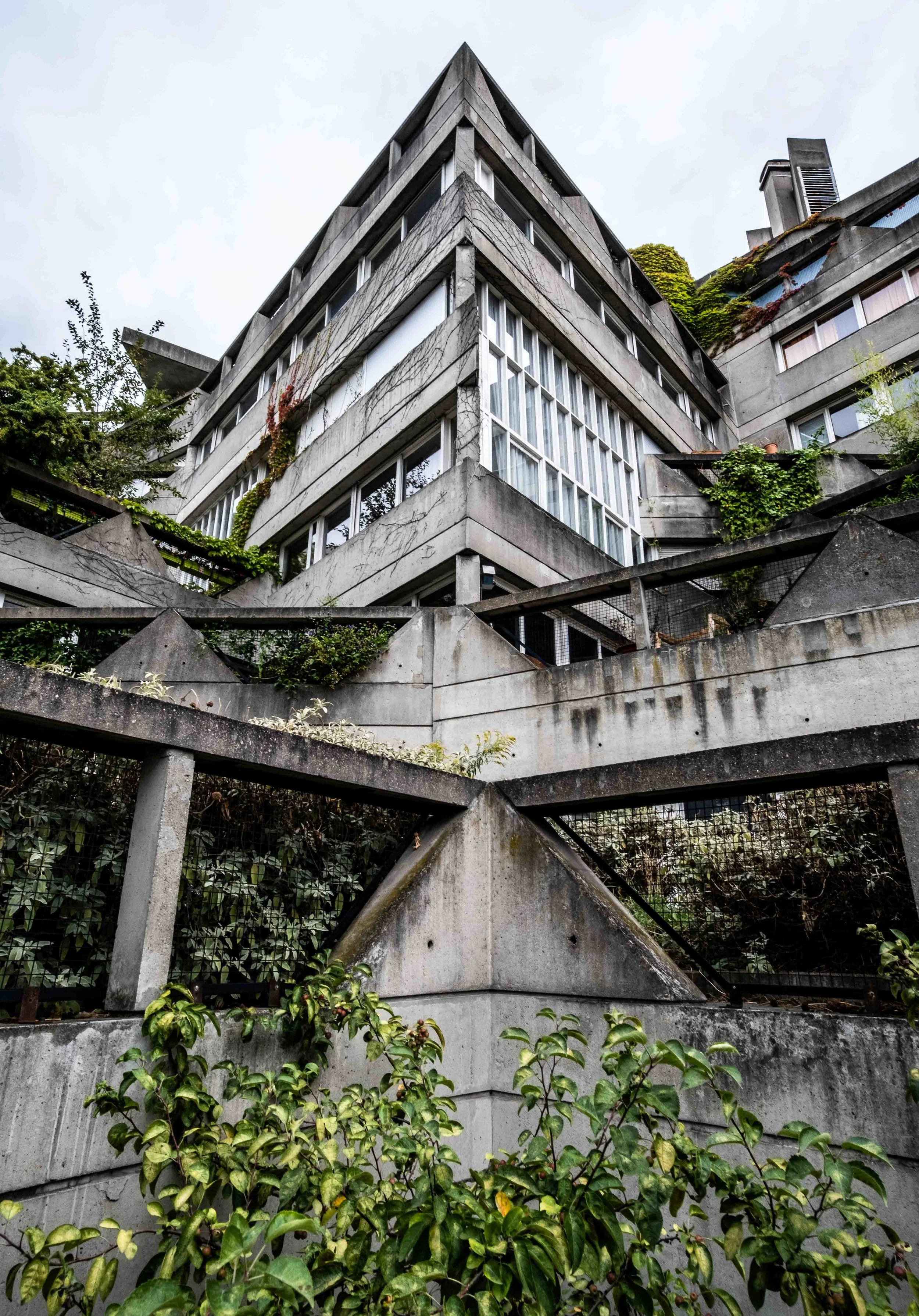 A large, multi-story concrete building with several floors, featuring rectangular windows and some plants growing on balconies and walls. The building appears weathered, with visible cracks and vines climbing along the exterior. The photo is taken fr