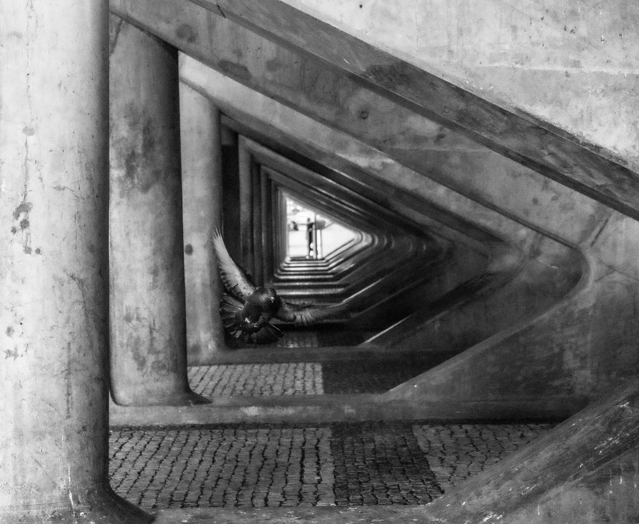Black and white photo looking through a square-framed opening in a concrete wall, showing a tunnel with a ladder or stairs leading downward and descending into darkness.