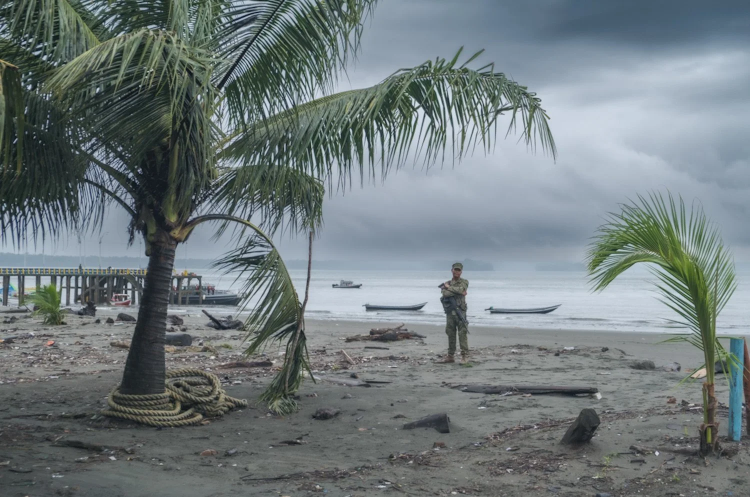 A gray, cloudy beach with palm trees, boats in the water, and a soldier standing near the shoreline.