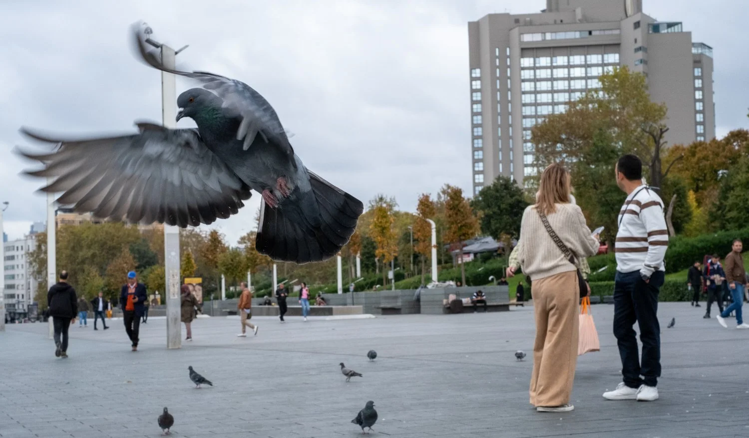 A pigeon flying in the foreground with a city park and people walking and talking in the background on a cloudy day.