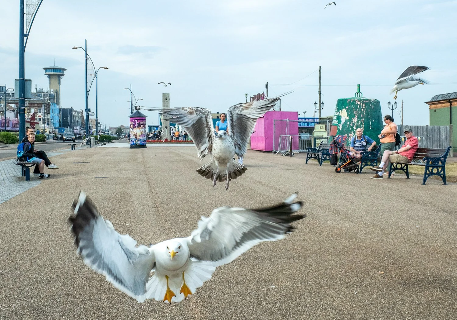 Seagulls flying over a promenade with people sitting on benches and walking. Buildings, streetlights, and a cloudy sky in the background.