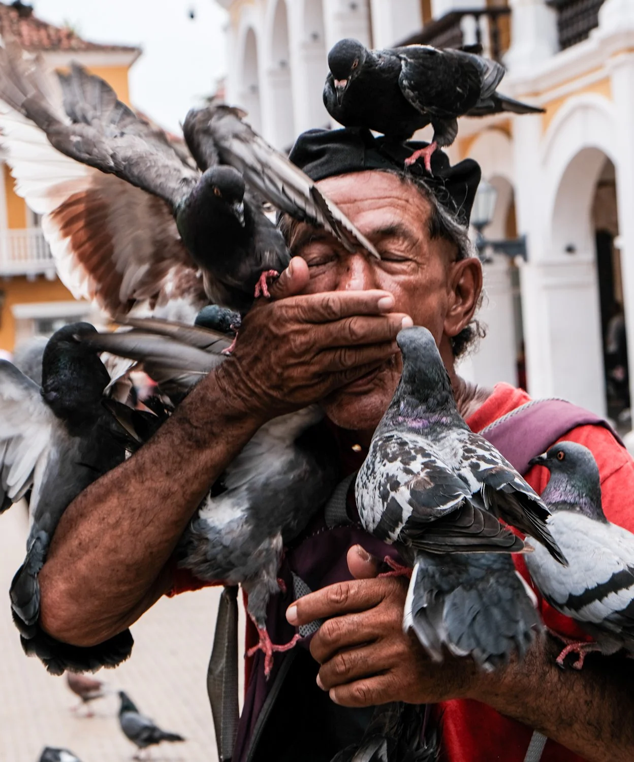 An elderly man with pigeons gathered around him, covering his face as he tries to protect himself from their feathers and beaks in a busy outdoor area with colorful buildings.