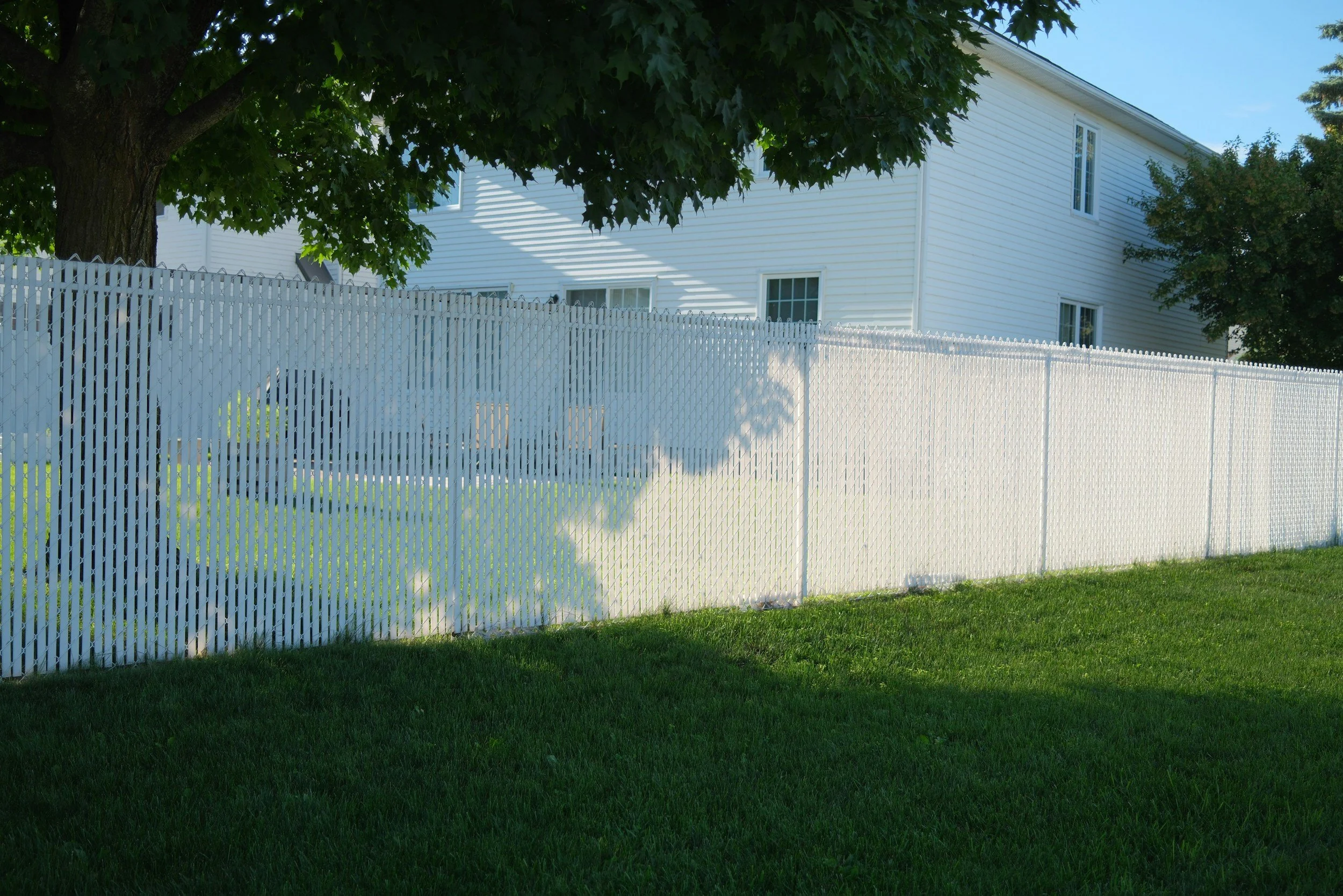White picket fence runs along a green lawn, with a large tree and white house in the background, under a clear blue sky.