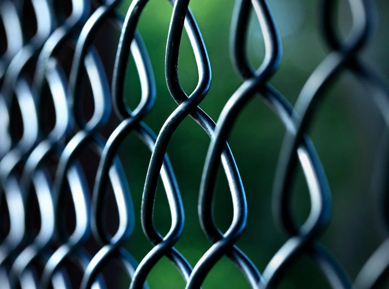 Close-up of a black chain-link fence with a blurred green background.