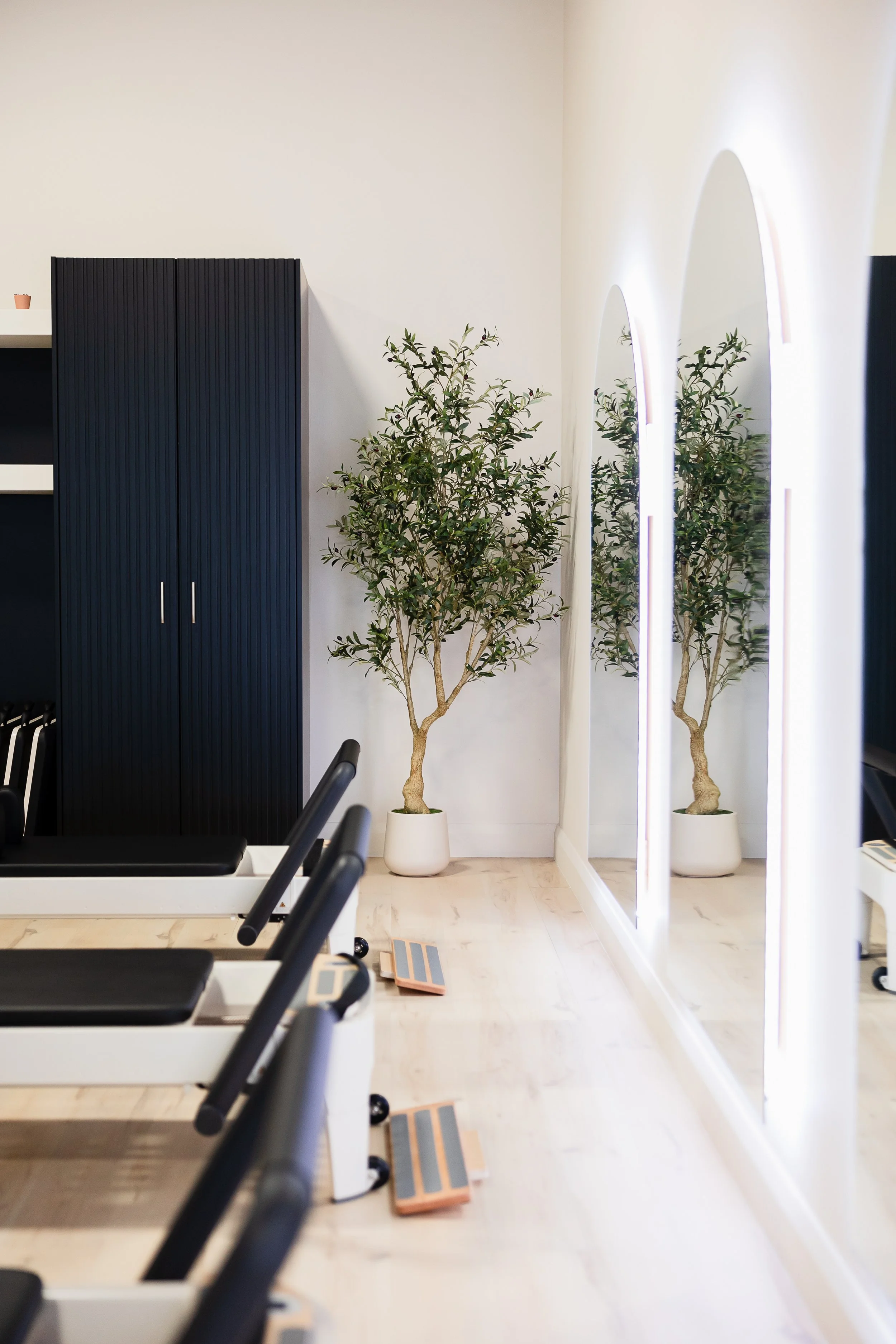 Pilates studio with reformer machines, two potted trees against a white wall with mirrors, and wooden floors.