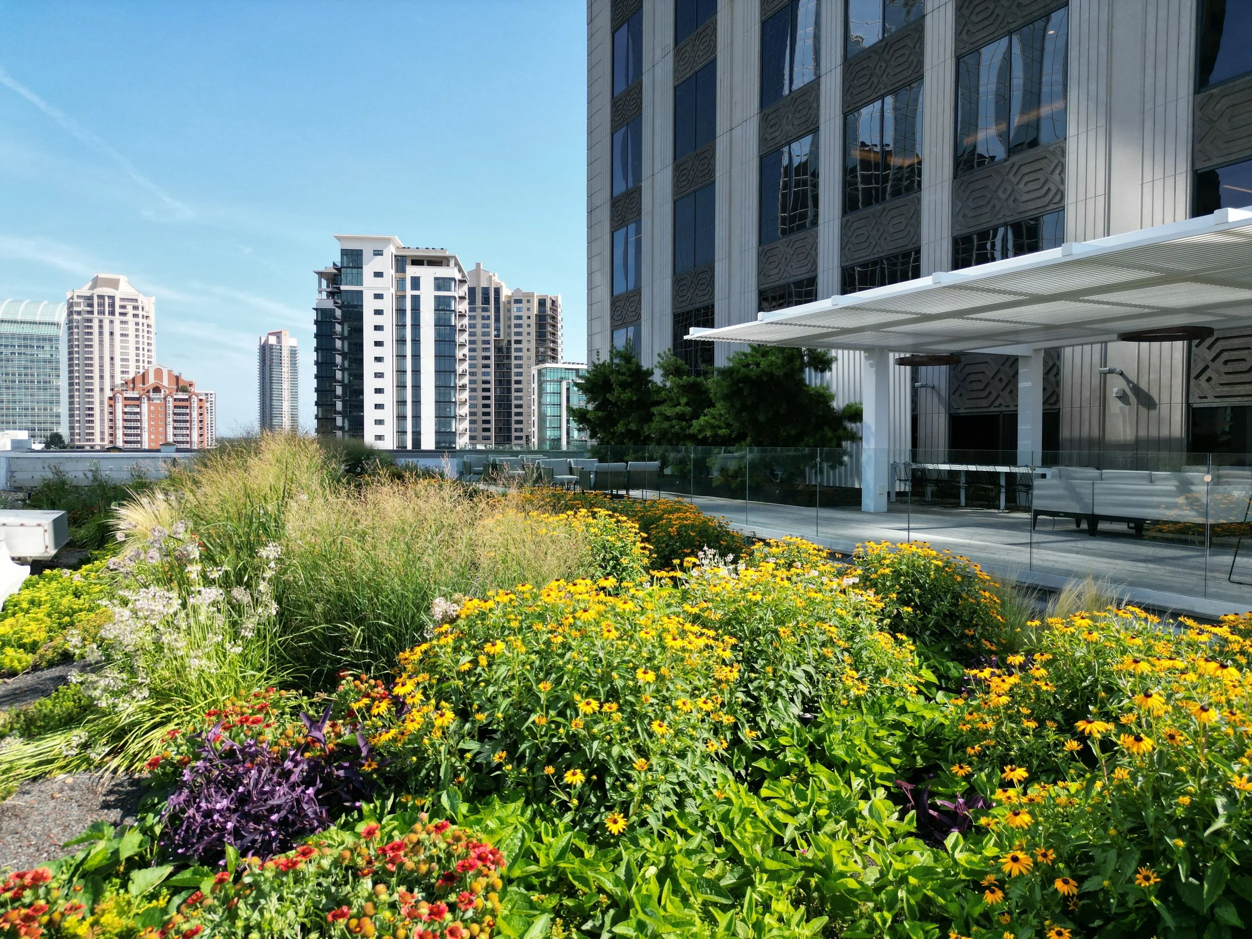 Resurgens Plaza Horizon.jpeg