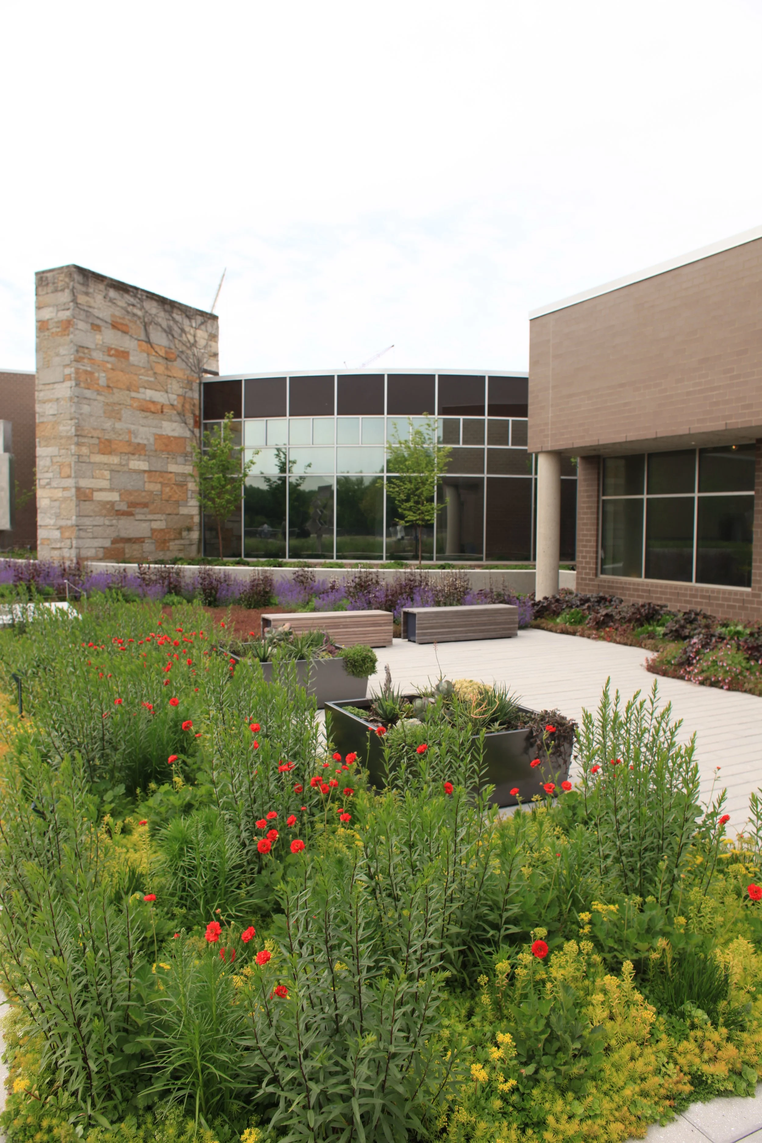 Meijer Gardens 6-14-19 (16).JPG