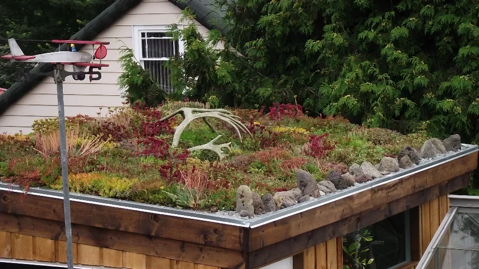 Edible Oasis NATS Green Roof.webp